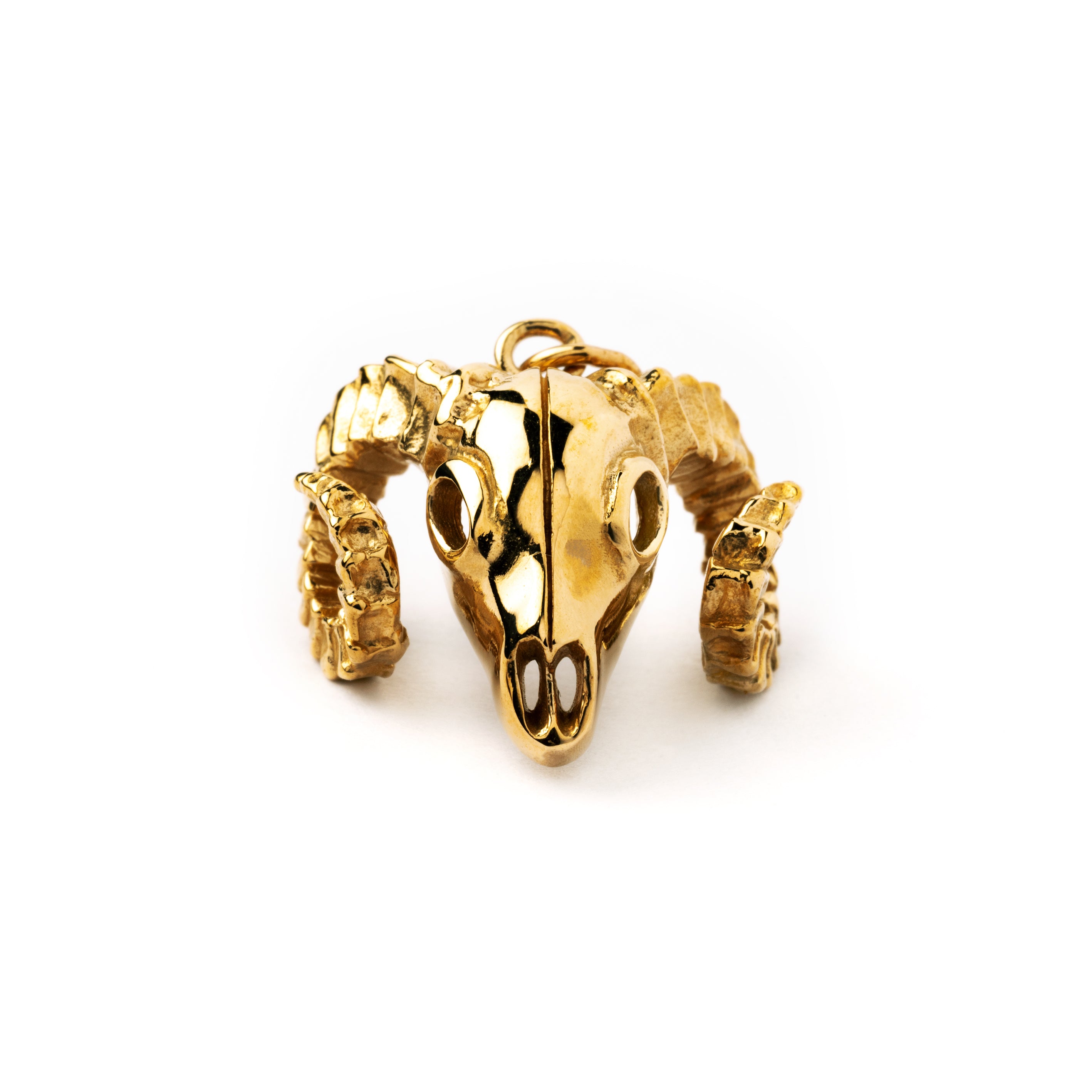 Bighorn bronze charm necklace frontal view
