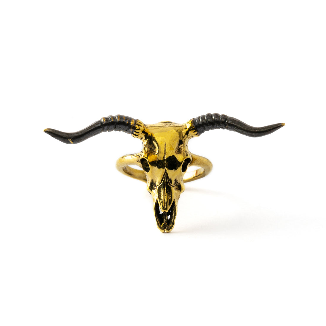 golden bull skull adjustable ring frontal view