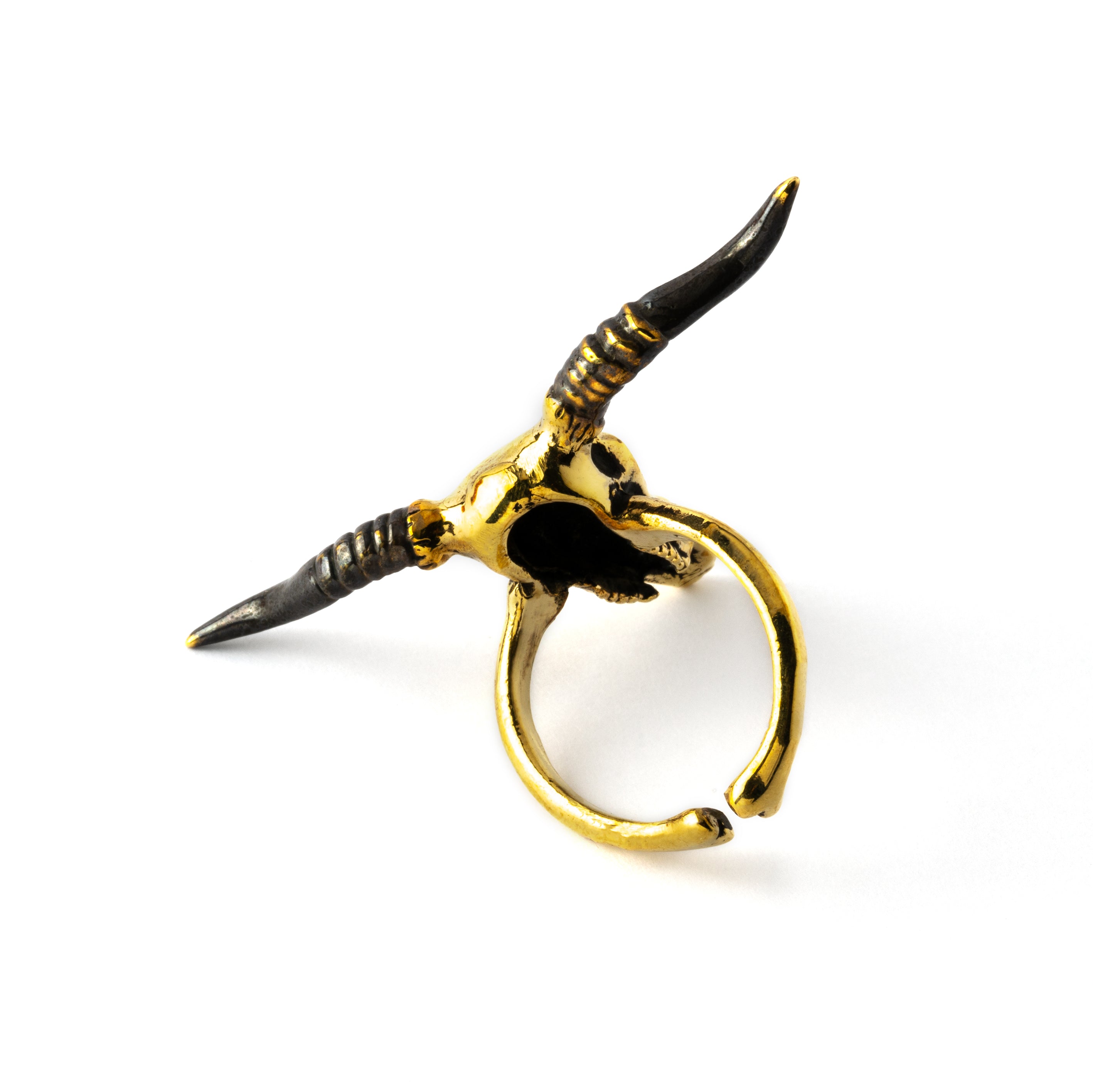 golden bull skull adjustable ring back view