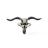 Bubalus buffalo bull skull ring frontal view