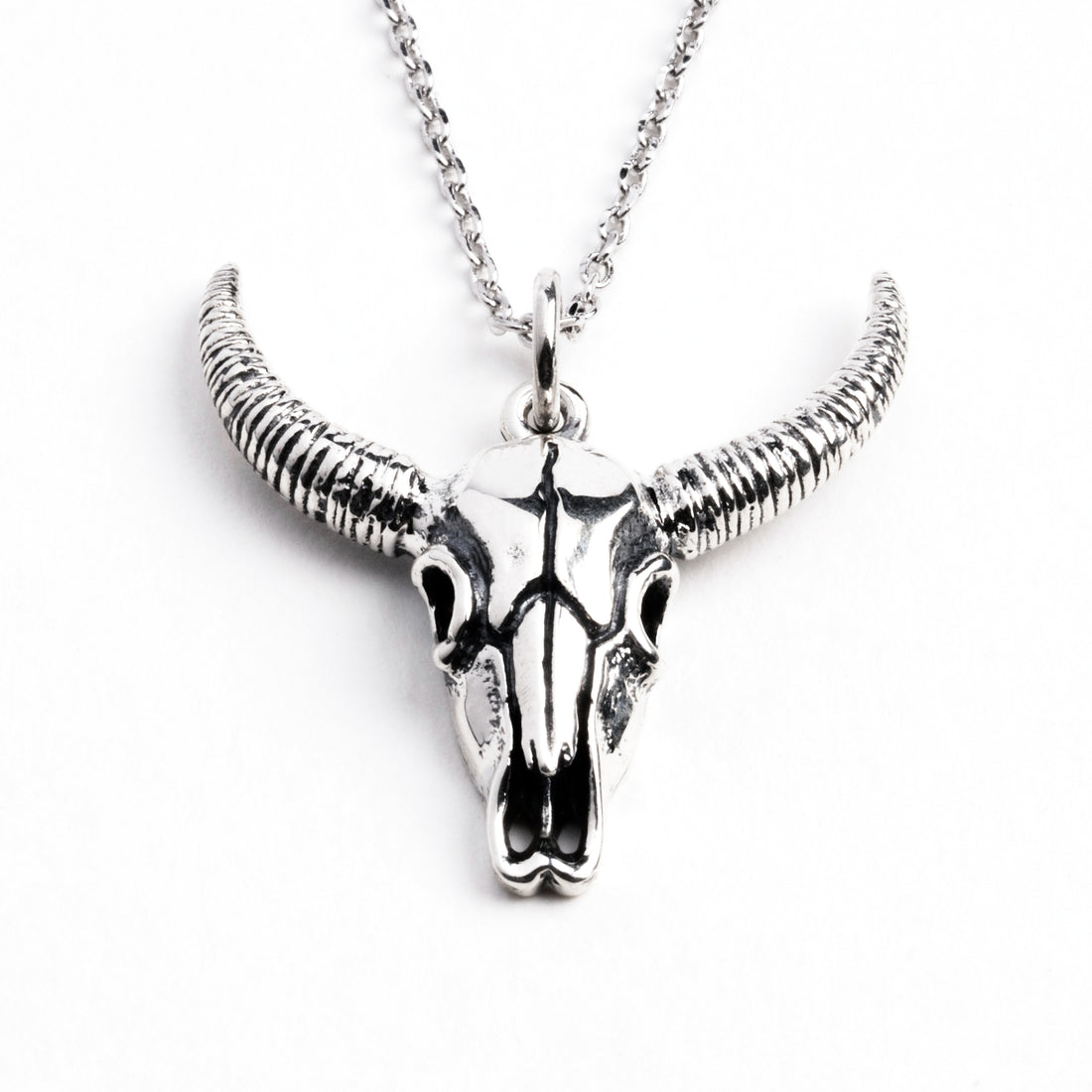 Bull skull silver charm necklace frontal view