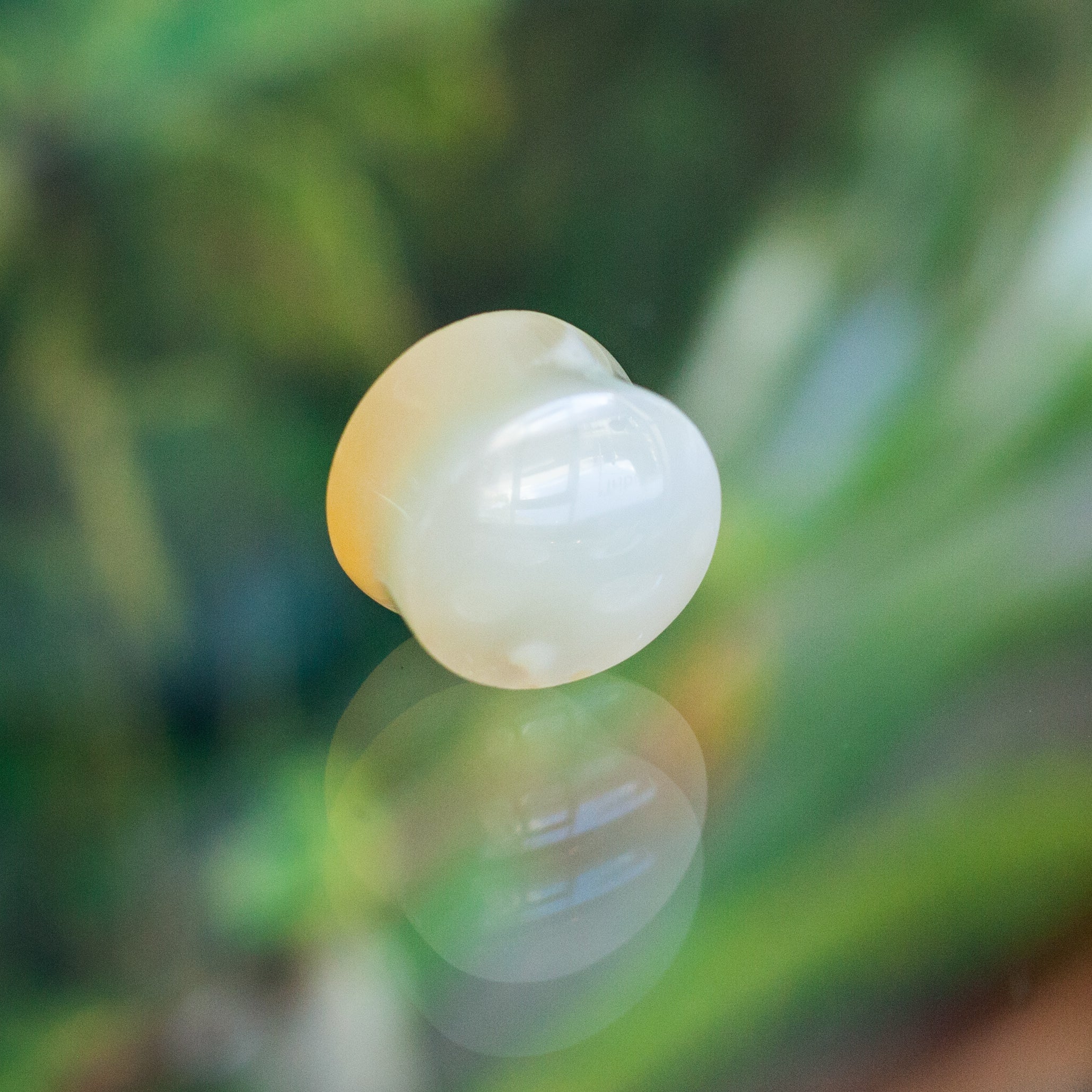 Yellow Aventurine Plugs