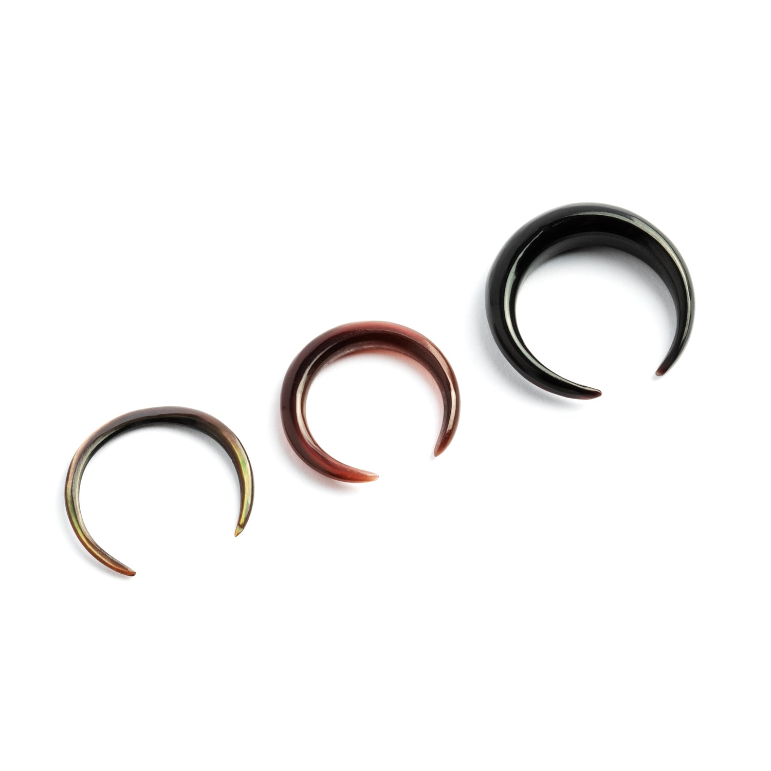 Circular-Black-Shell-Septum_6