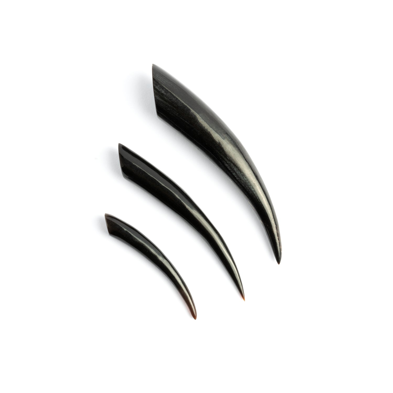 Extenseur de klaxon avec une légère courbe