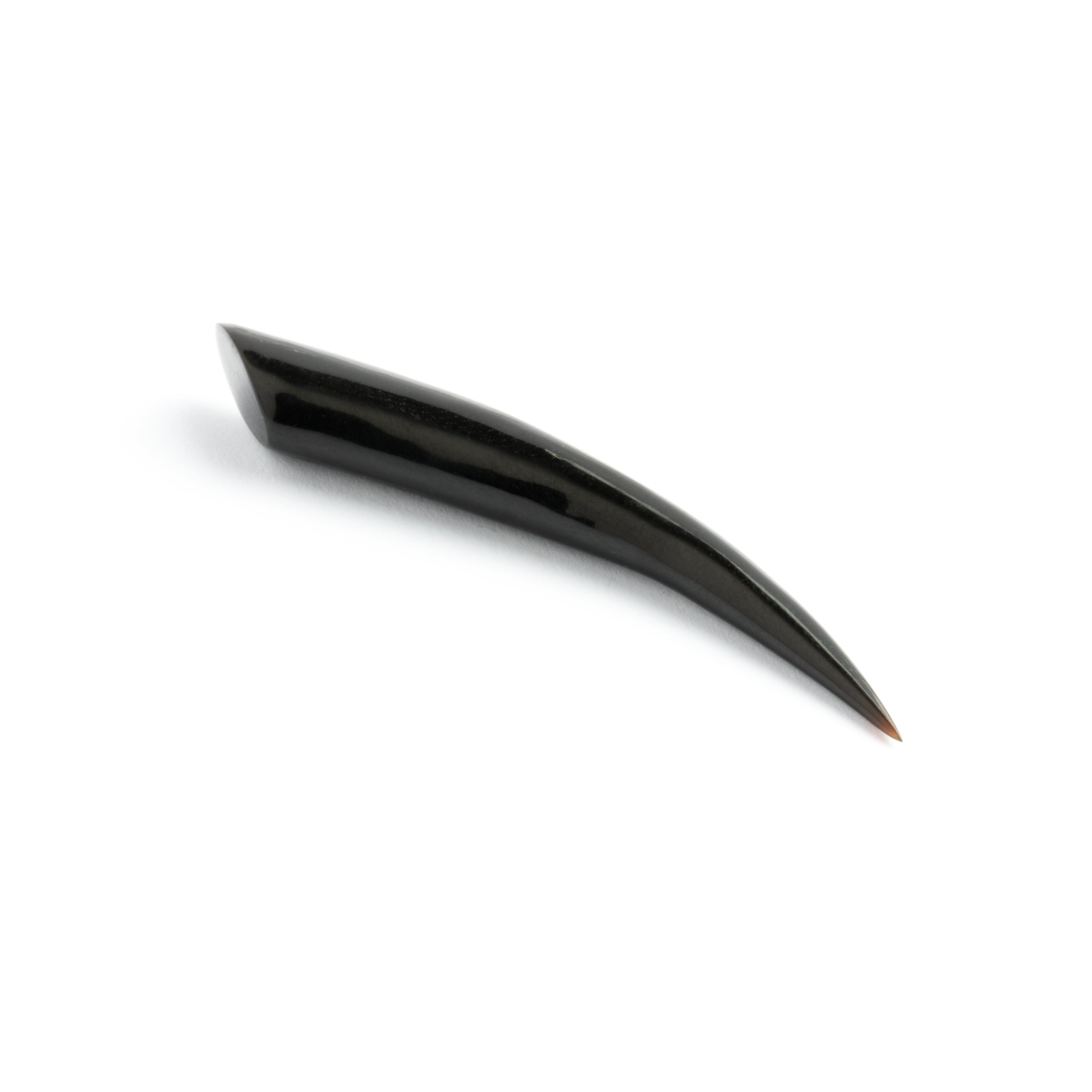Horn Spike Ear Stretcher