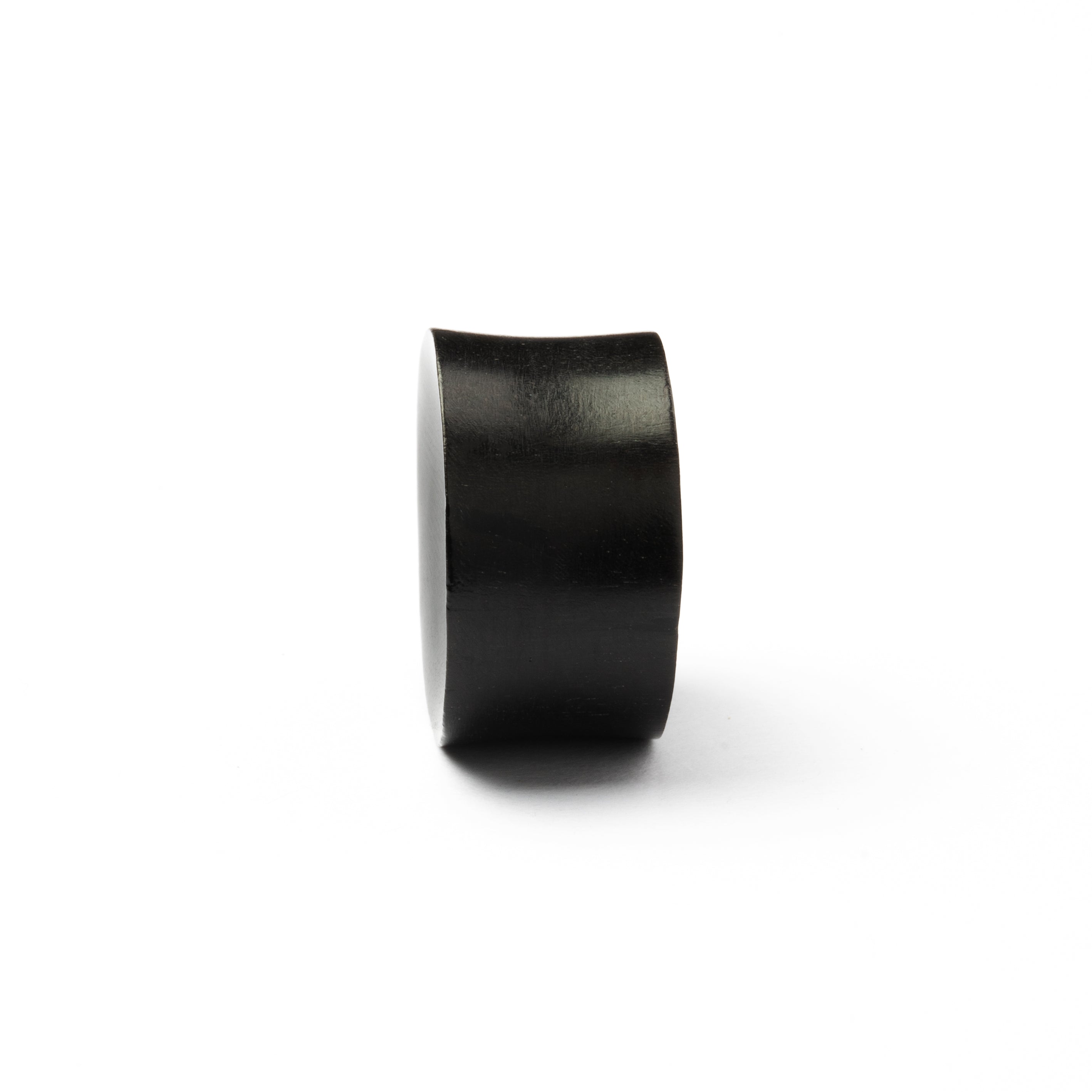 Convex Horn Plug