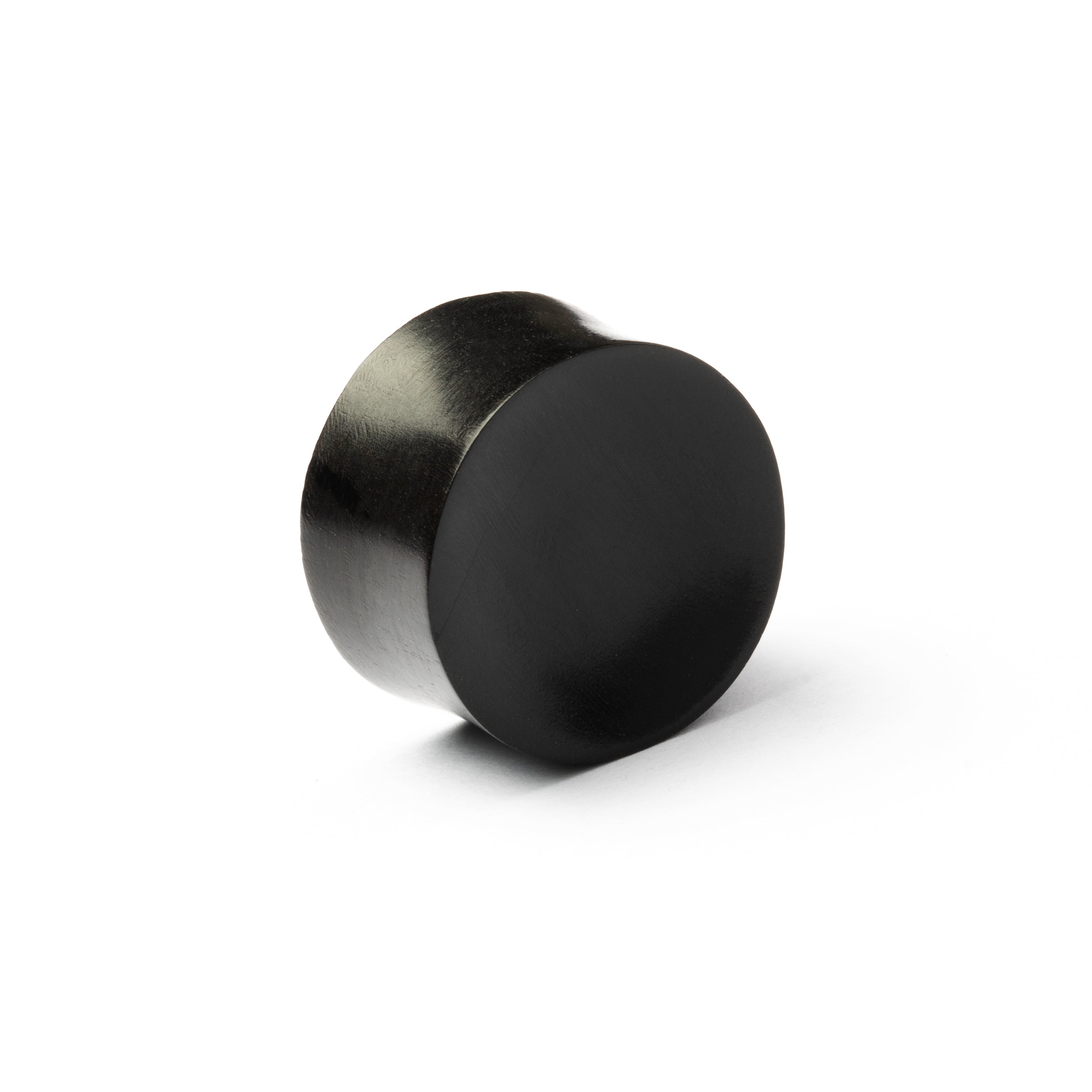 Convex Horn Plug
