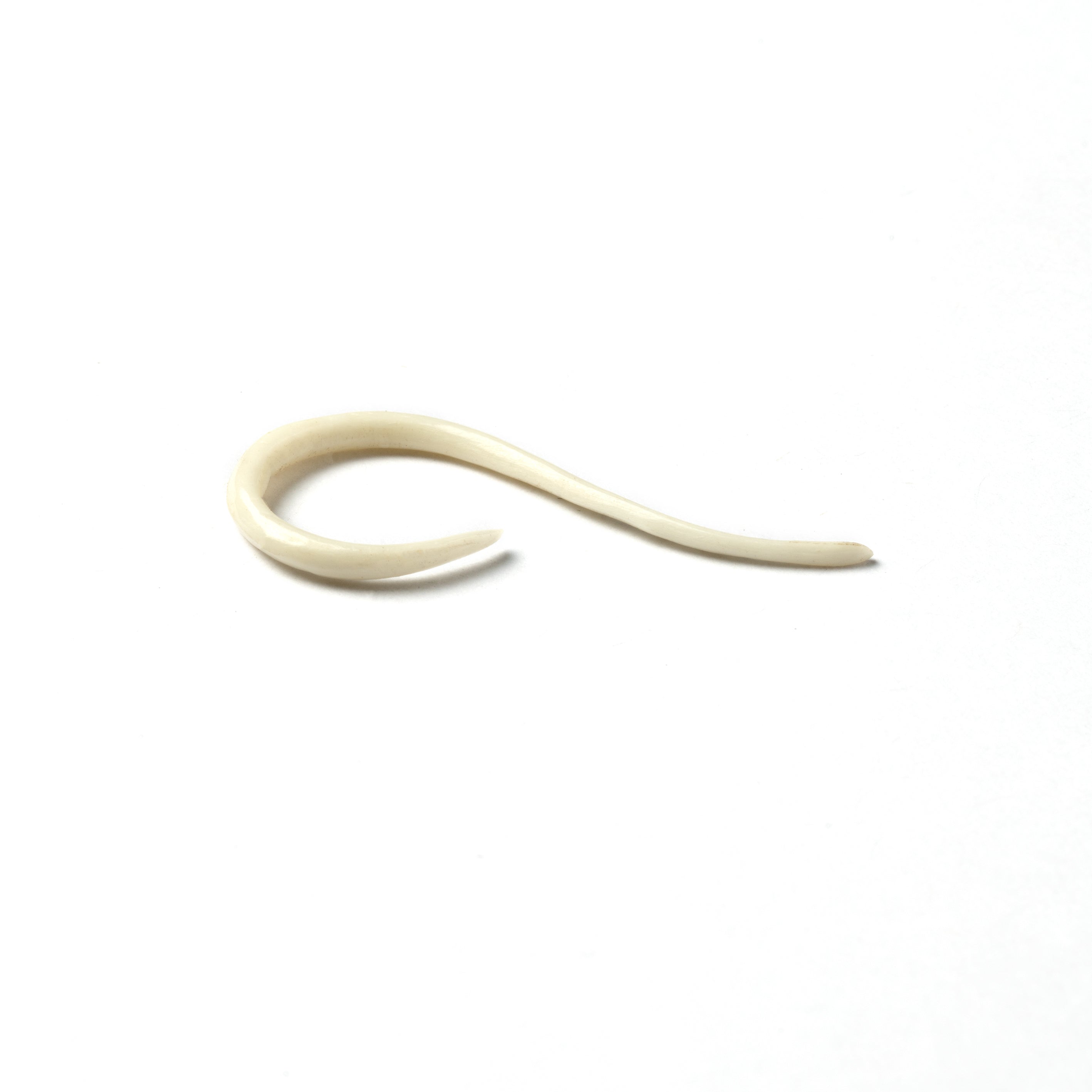 Curved Bone Hook Earrings