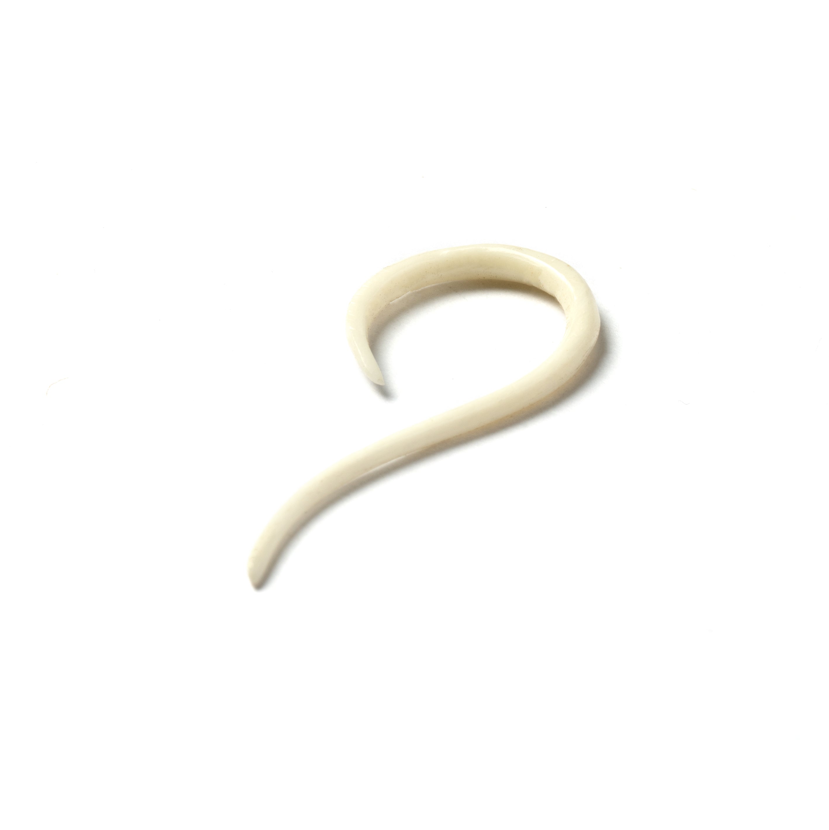 Curved Bone Hook Earrings