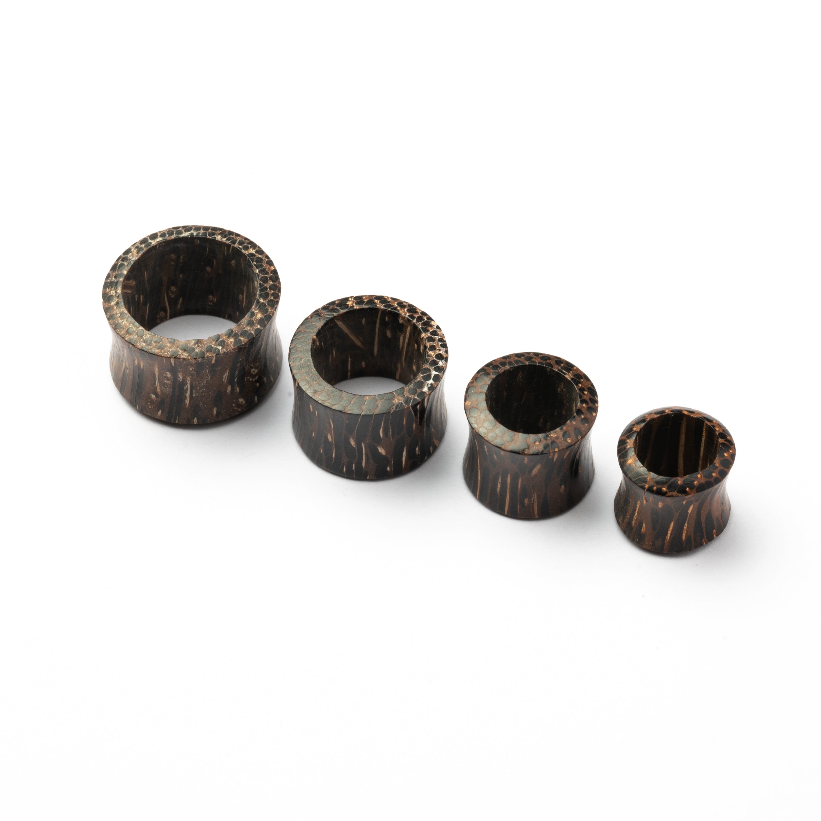 Palm Wood Tunnel