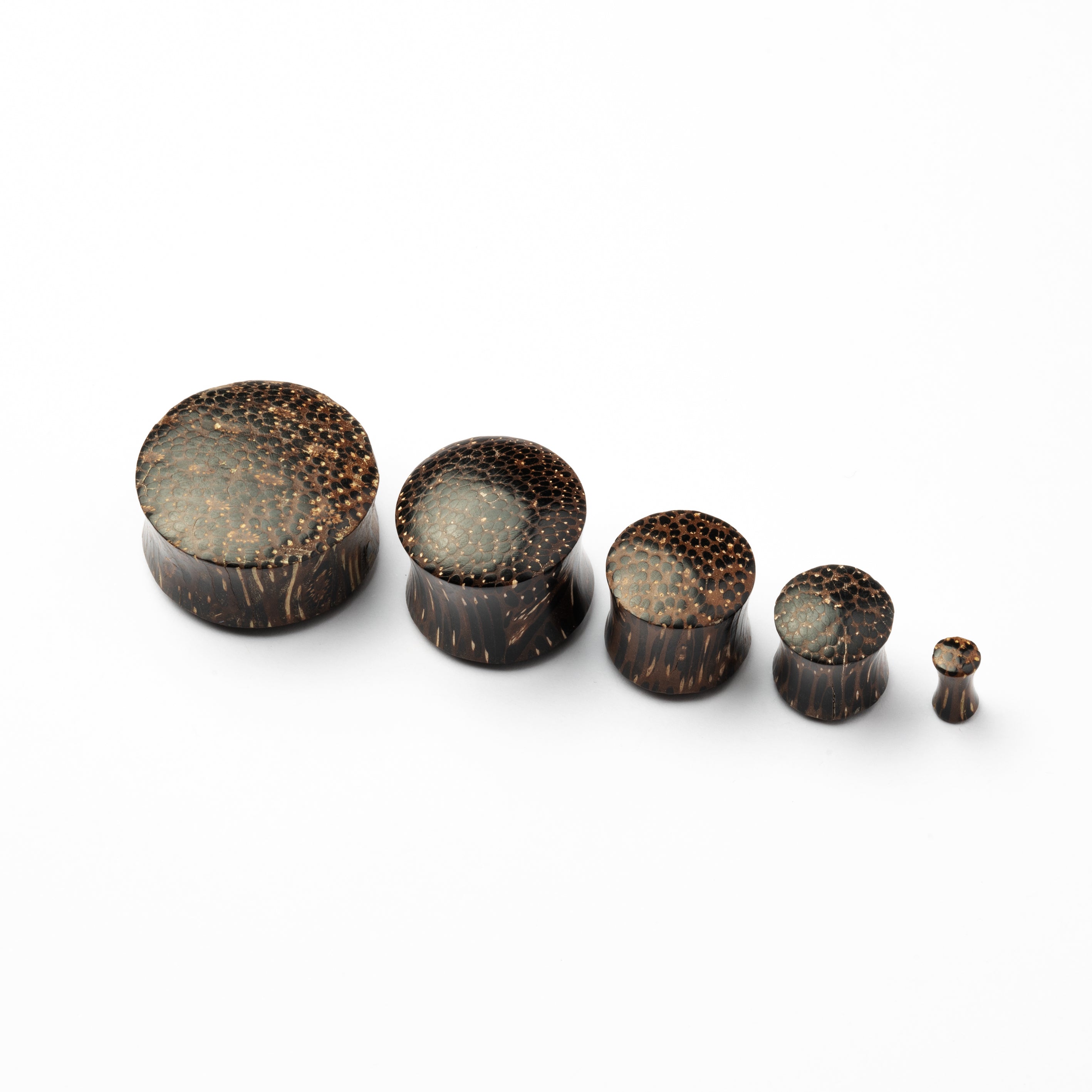 Palm Wood Plug