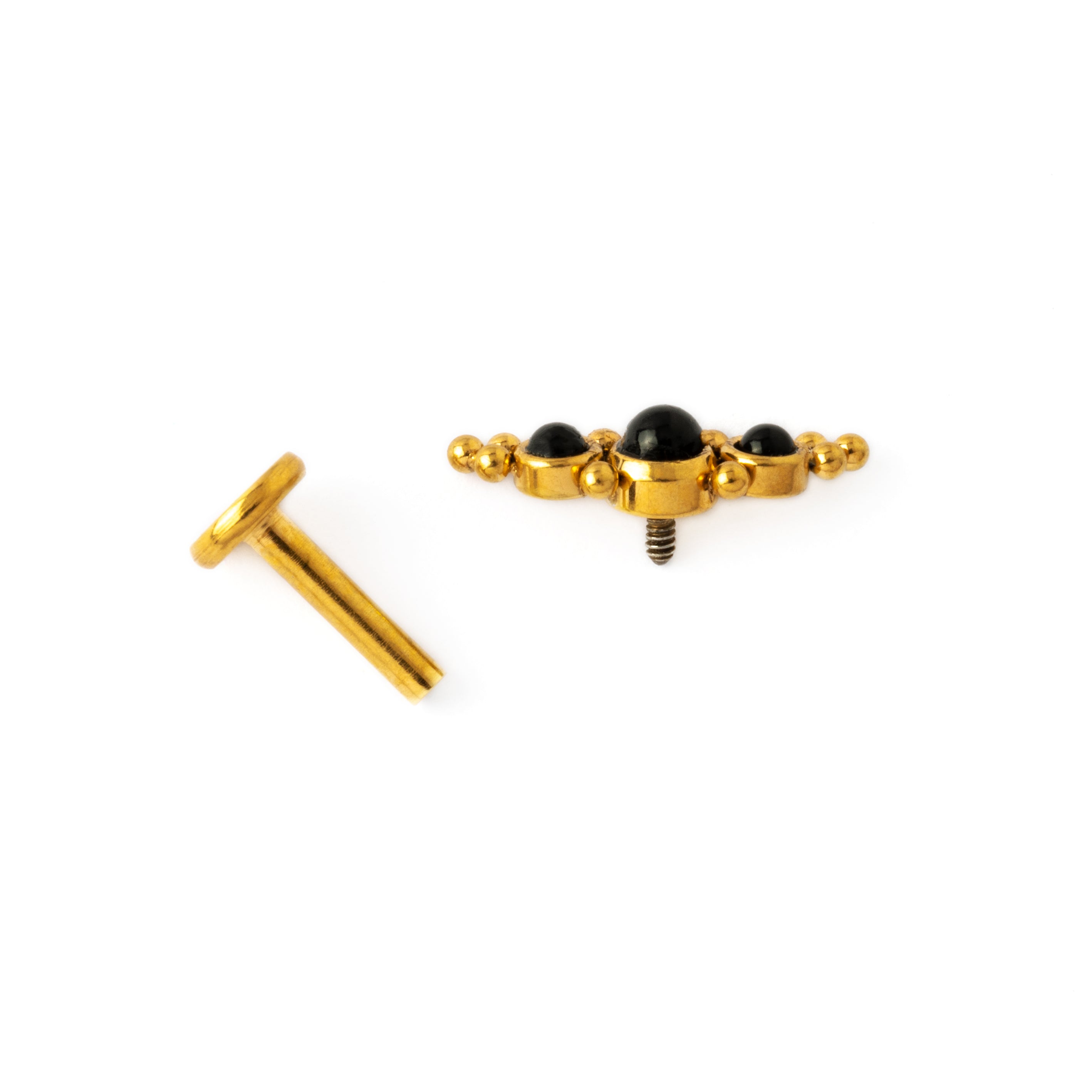 Deva crescent shape Golden Labret with Black Onyx screw back closure view