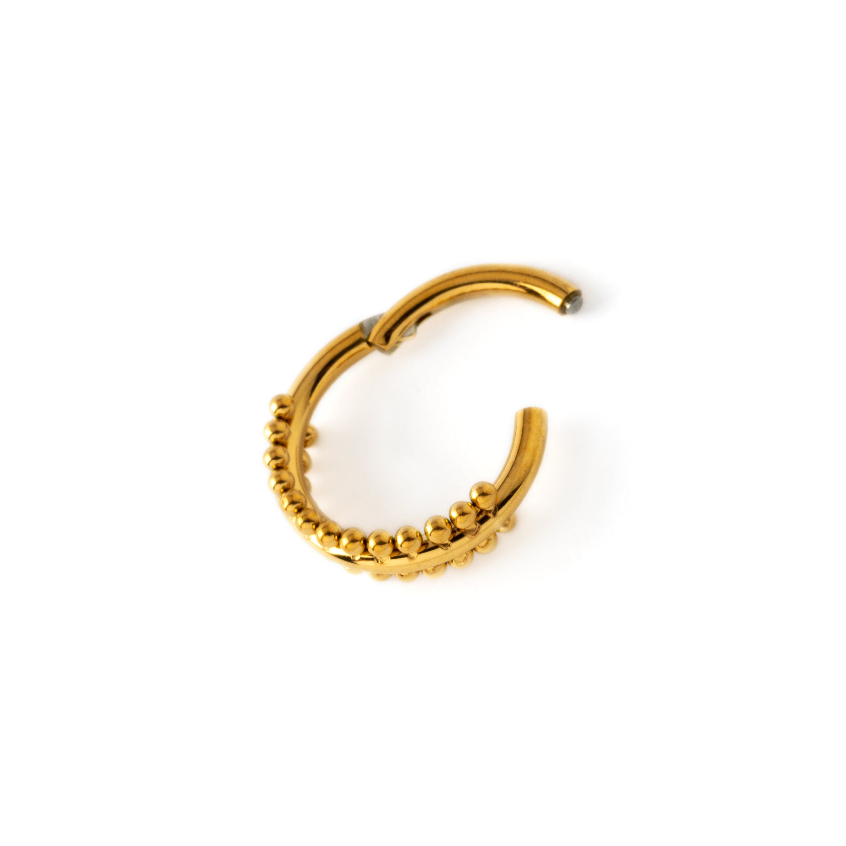 Didi golden clicker ring hinged segment view
