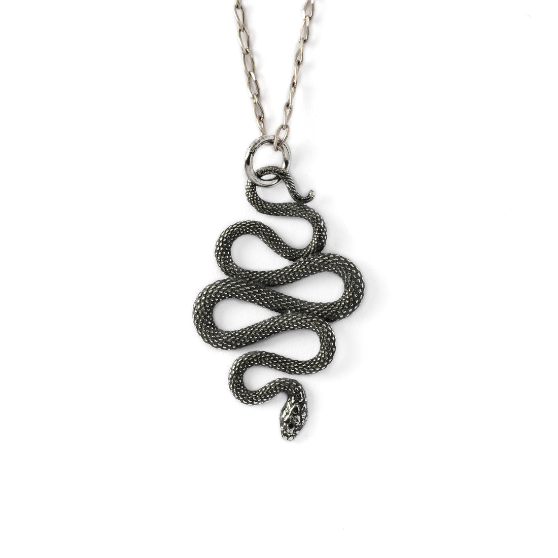 Eden Snake Silver Charm frontal view