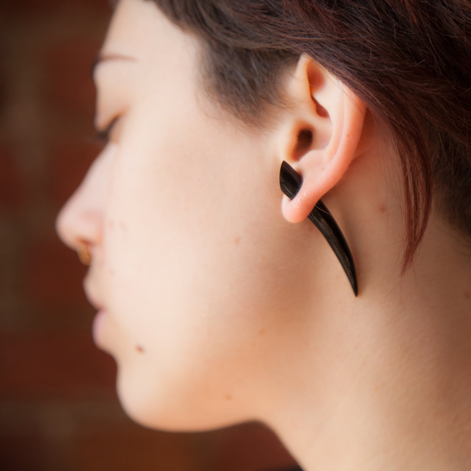 Extenseur de klaxon avec une légère courbe