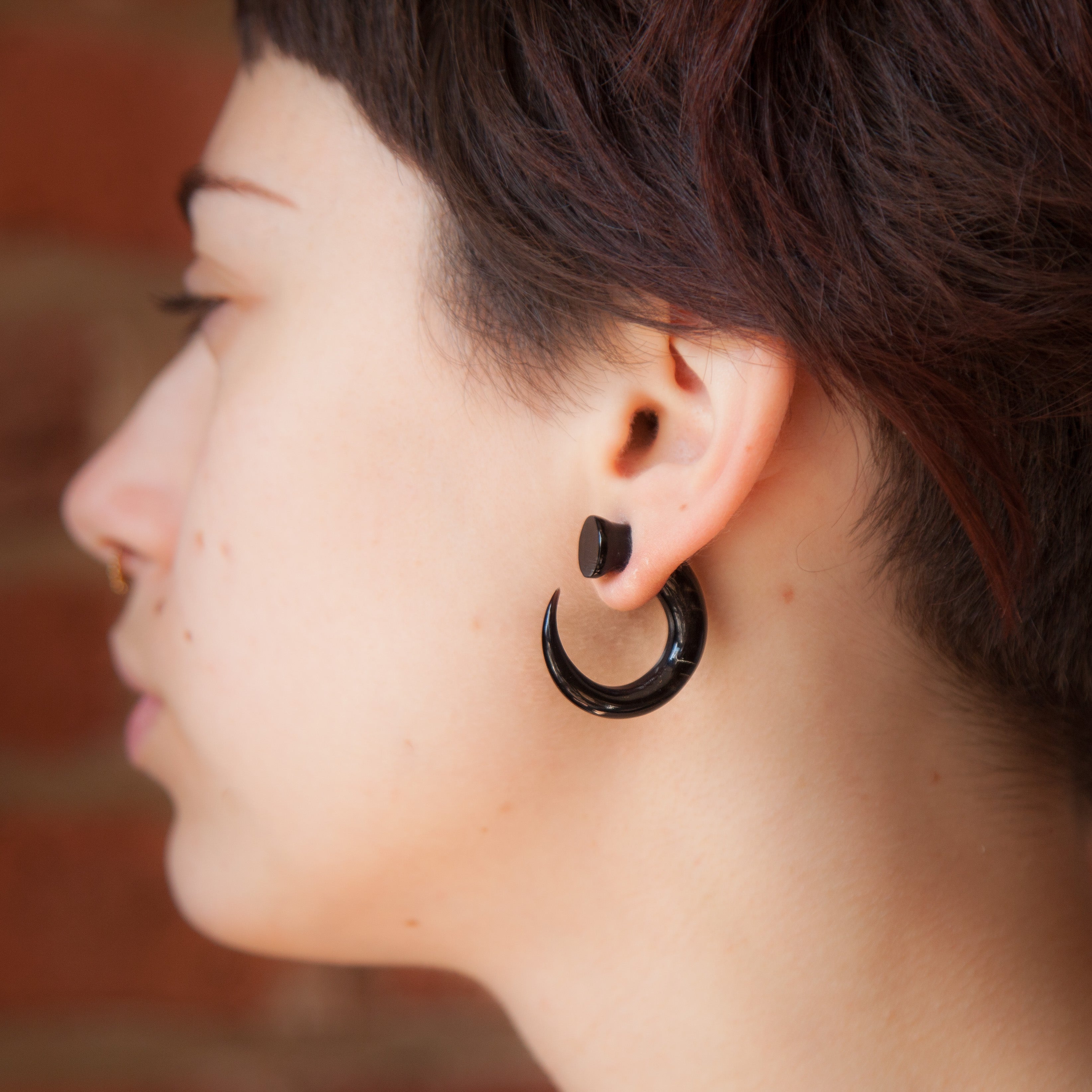 Circular Hook Ear Stretchers