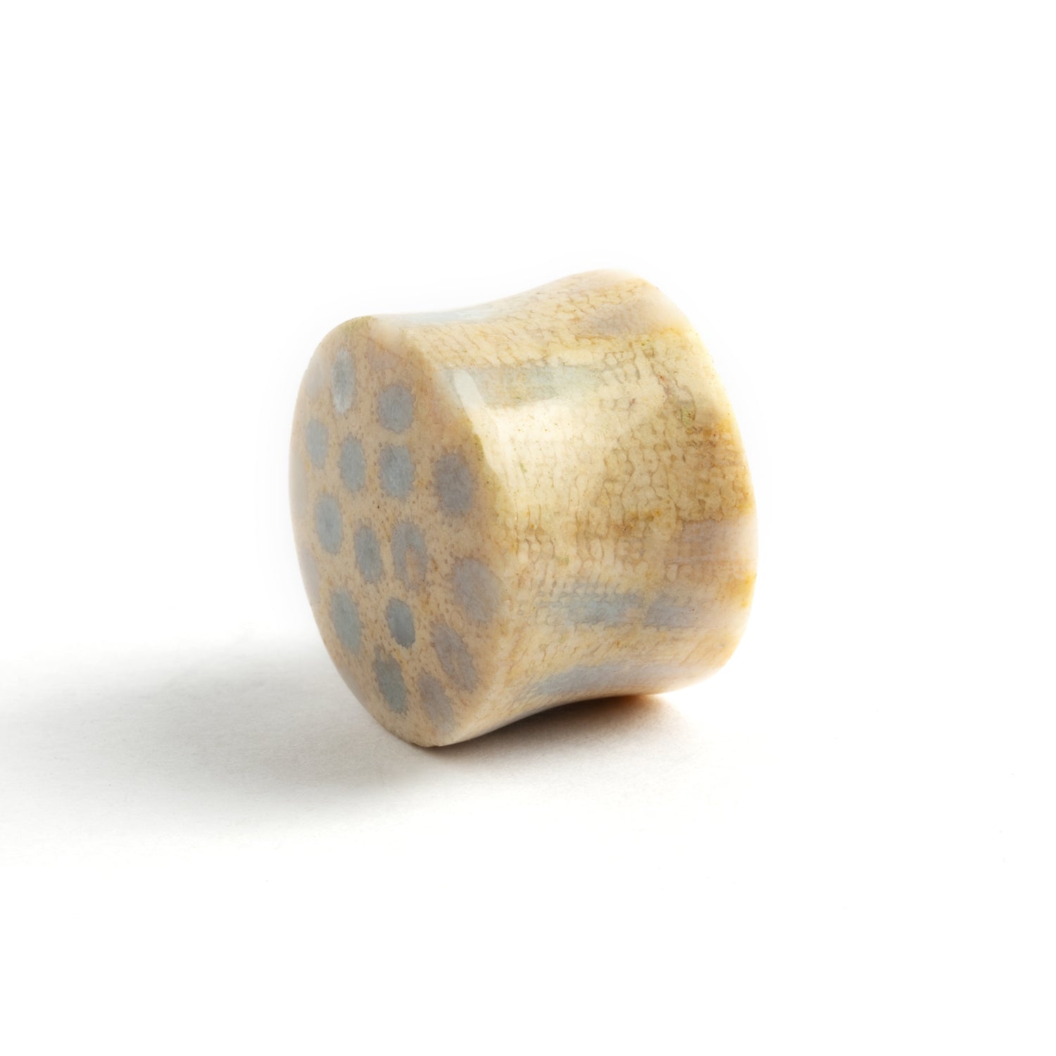 single Fossil Coral double flare stone ear plug left side  view