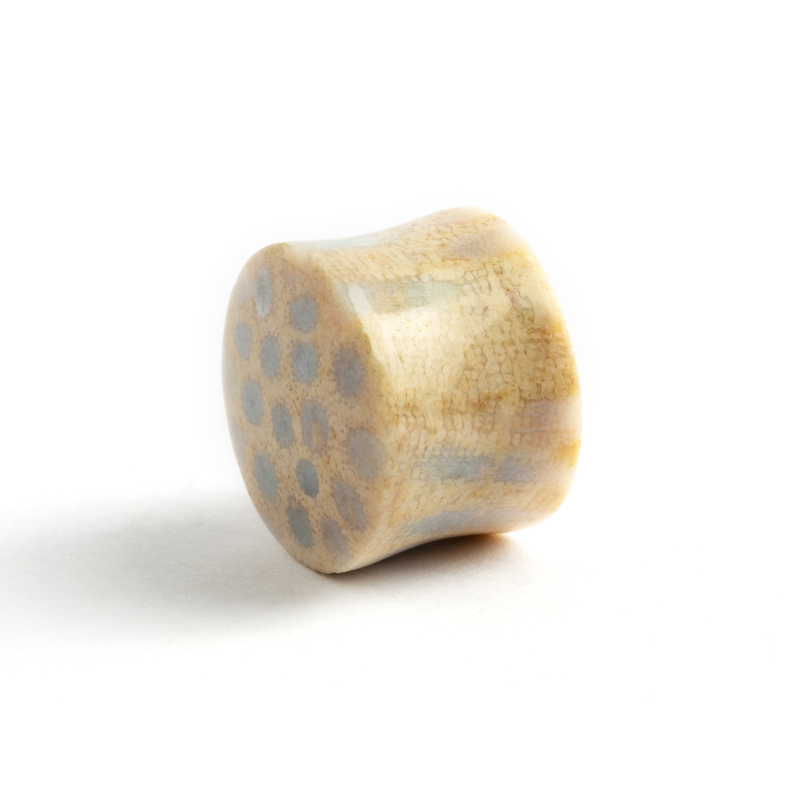 single Fossil Coral double flare stone ear plug left side  view