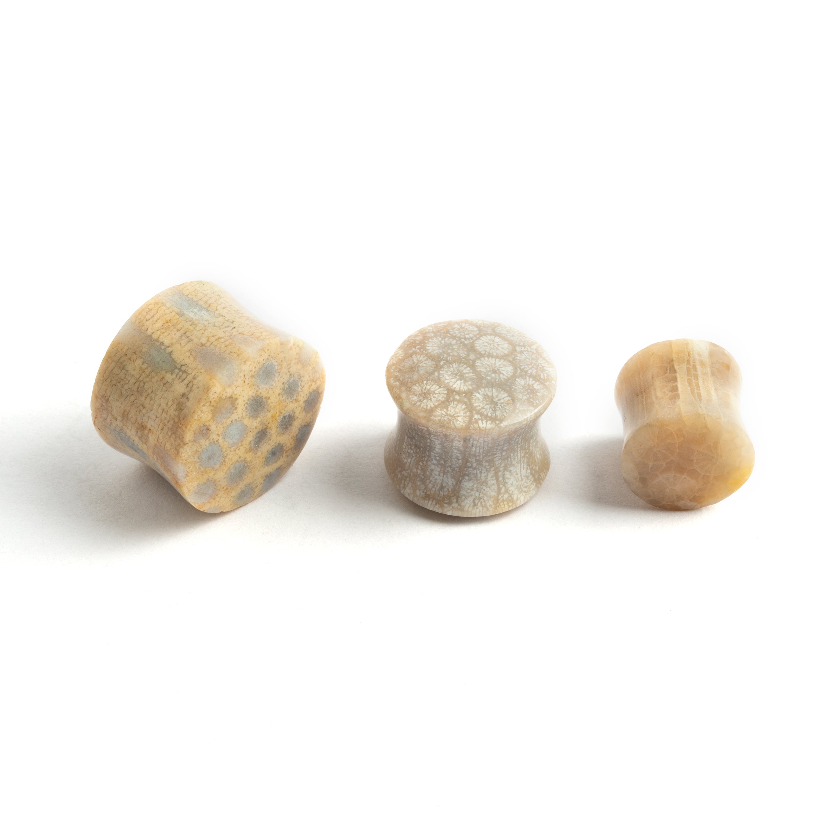several sizes of Fossil Coral double flare stone ear plugs side and front