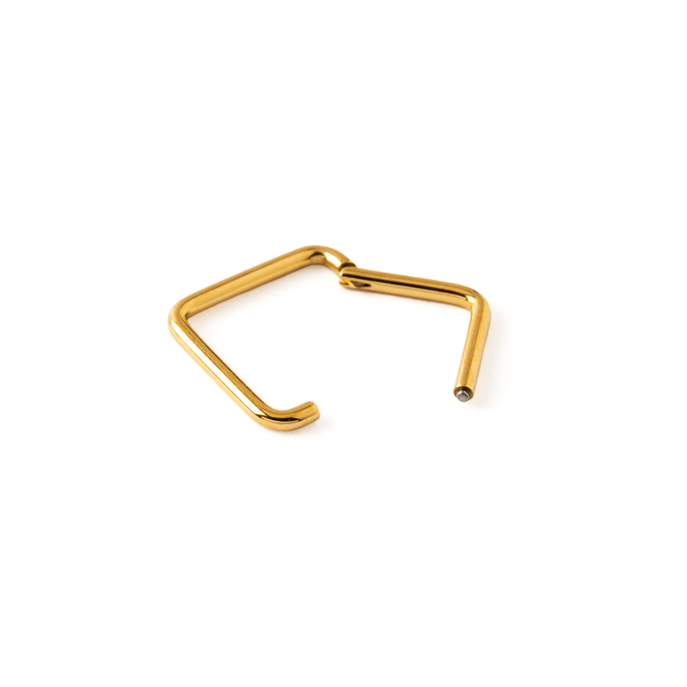 Gold Titanium Oblong Clicker Ring hinged segment view