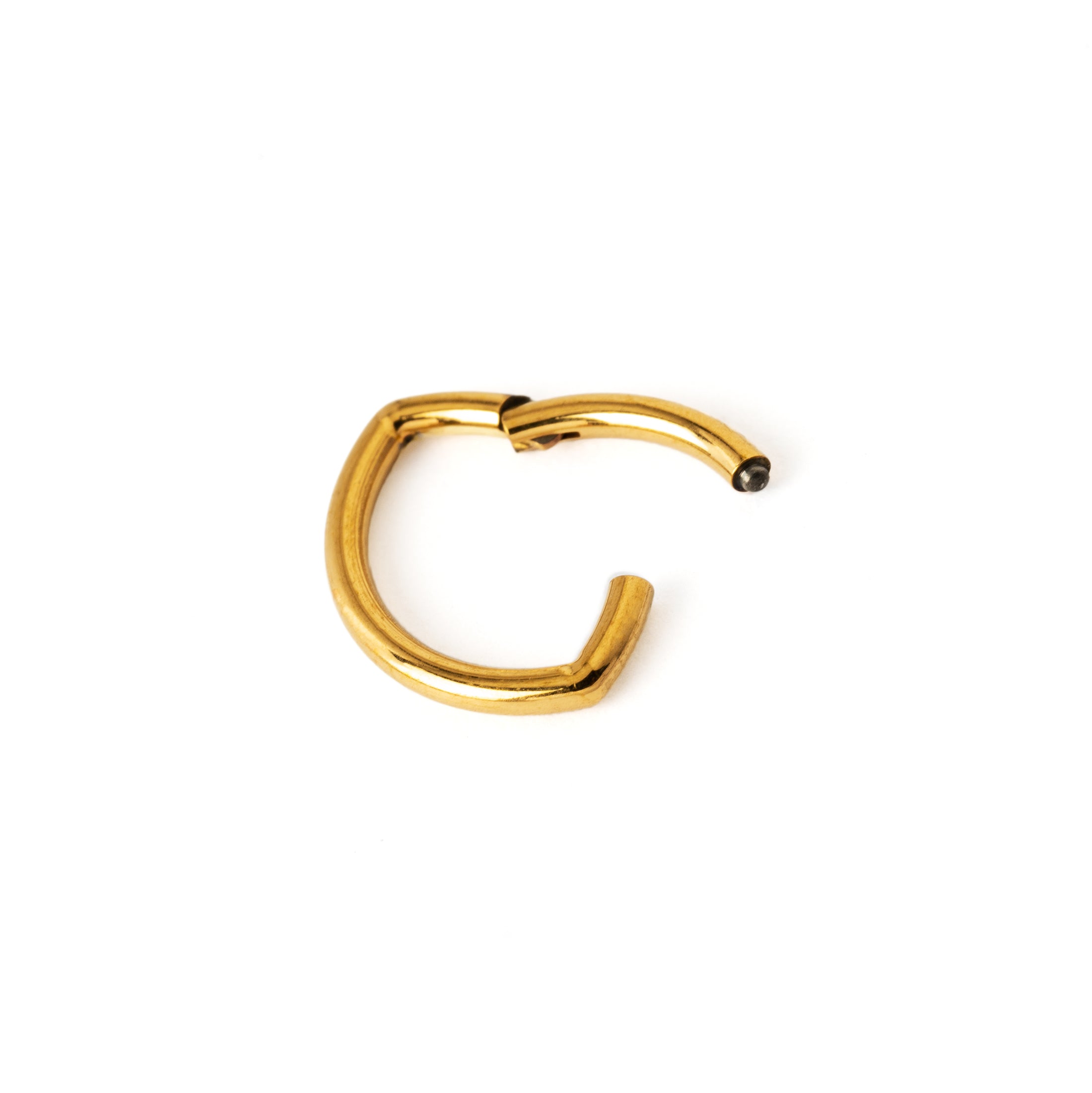 Golden surgical steel Oval Clicker Ring hinged segment view