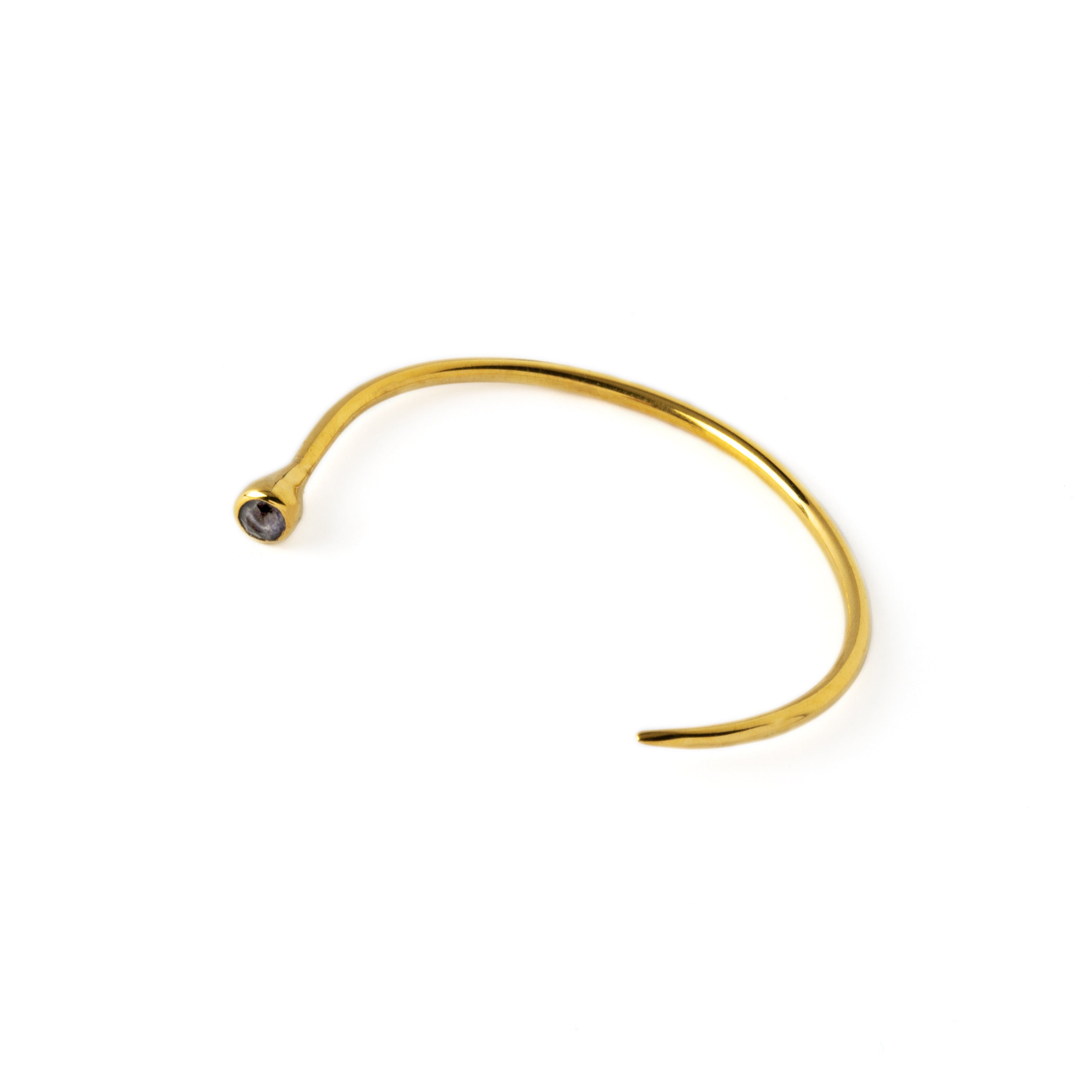 Gold Tawhio & Iolite Earrings