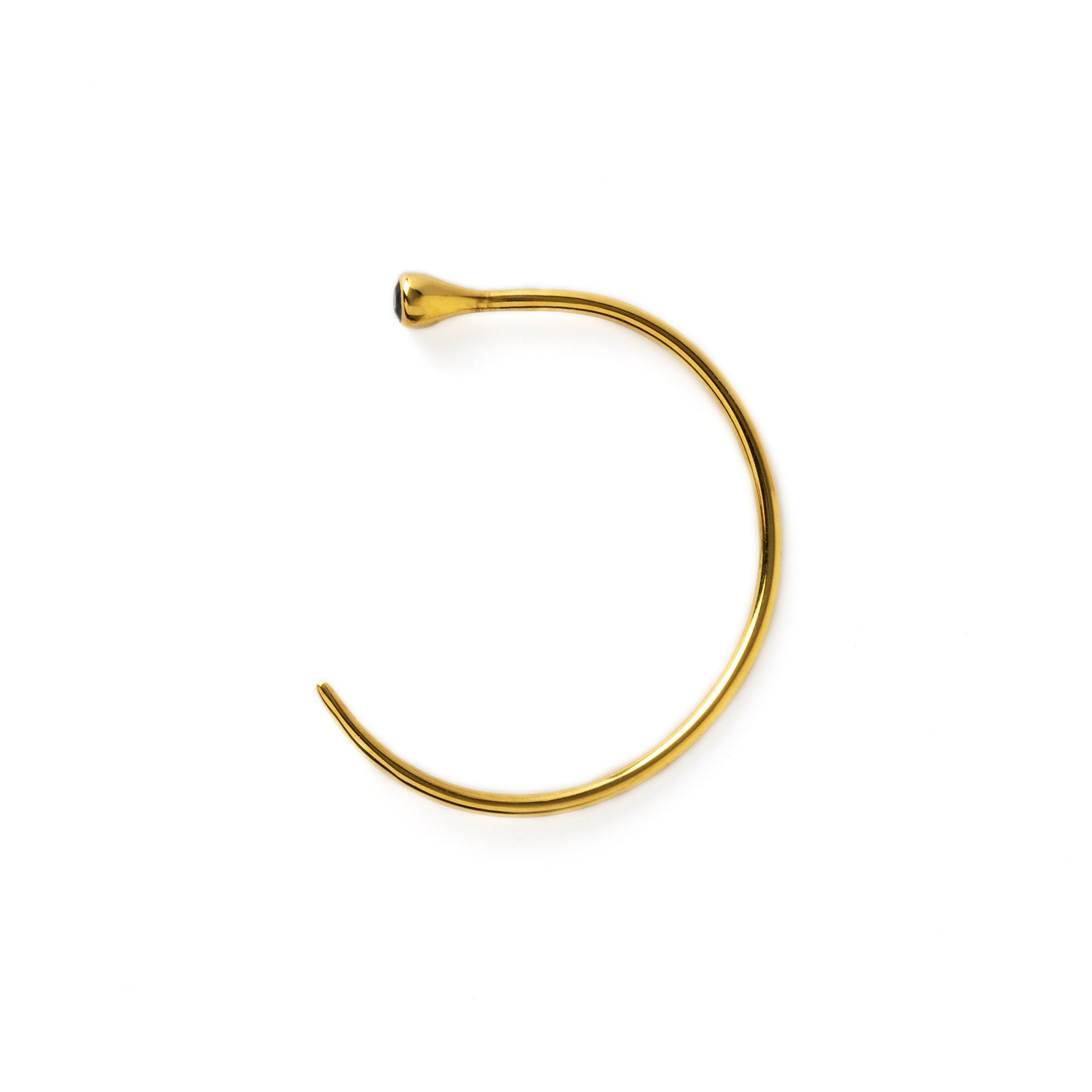 Gold Tawhio & Iolite Earrings