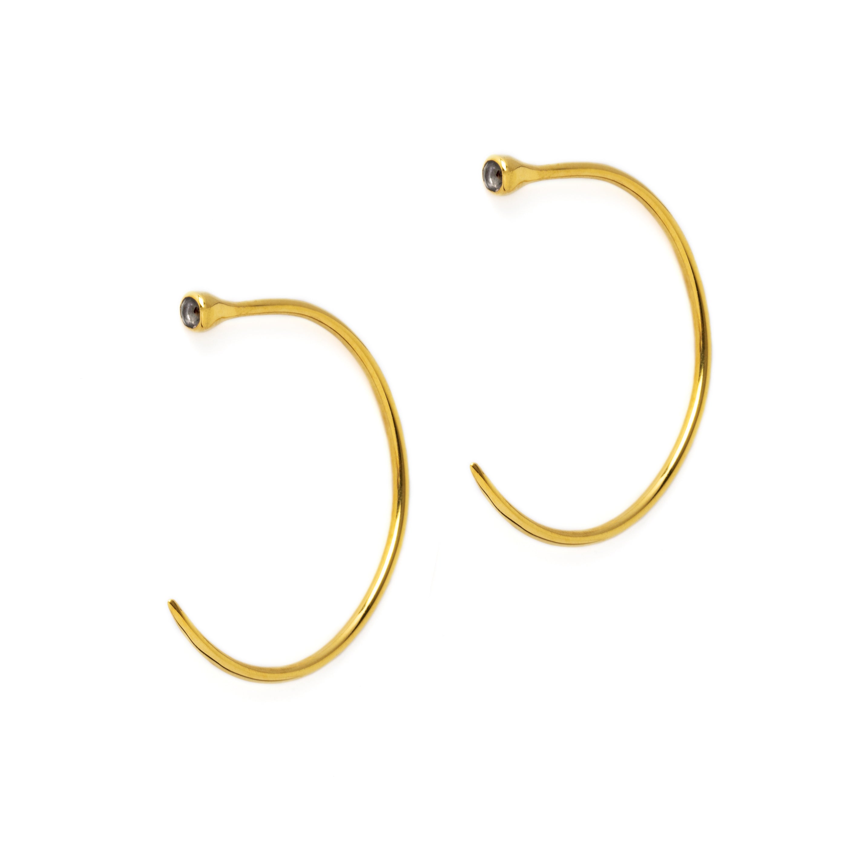 Gold Tawhio & Iolite Earrings