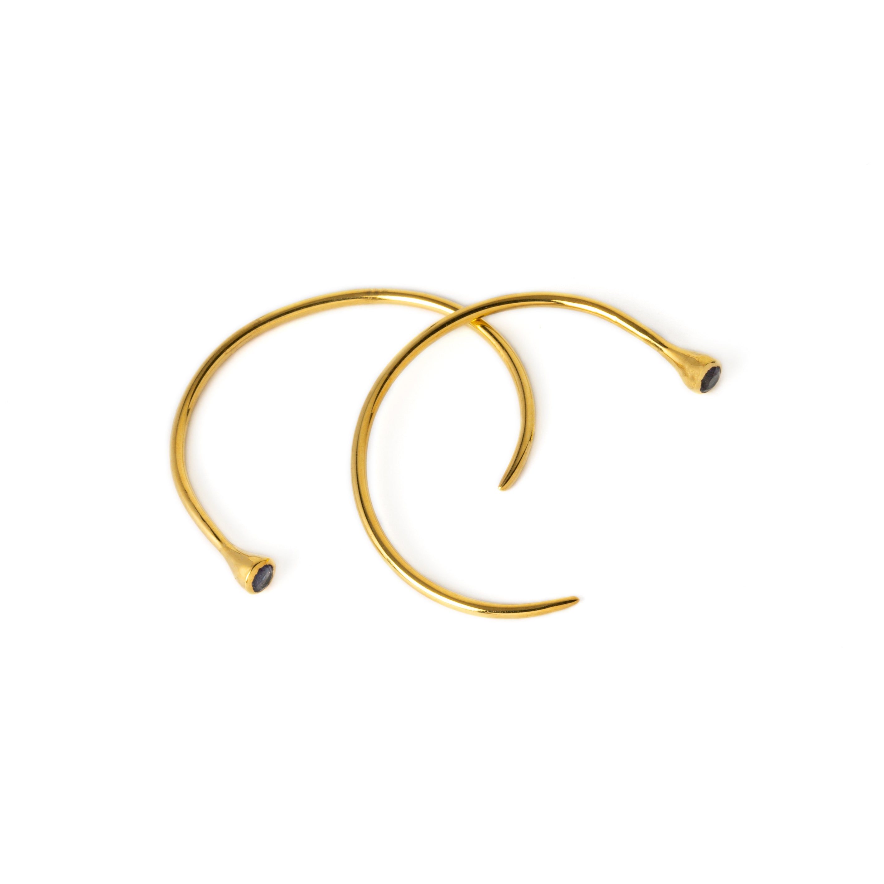 Gold Tawhio & Iolite Earrings
