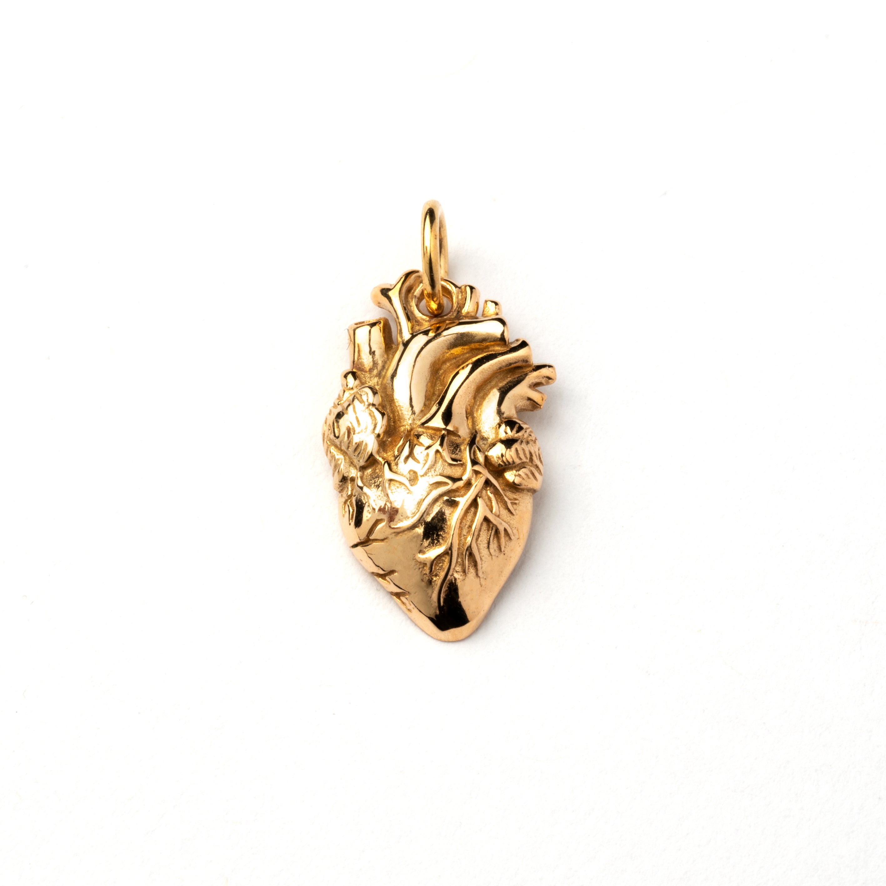 bronze anatomical heart charm necklace frontal view