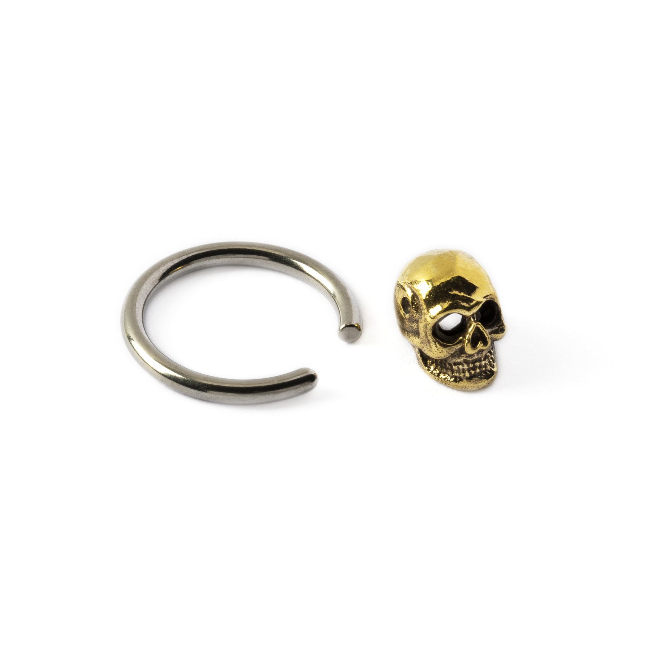 Skull BCR open closure view
