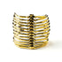Golden-skeleton-vertebral-column-cuff_1