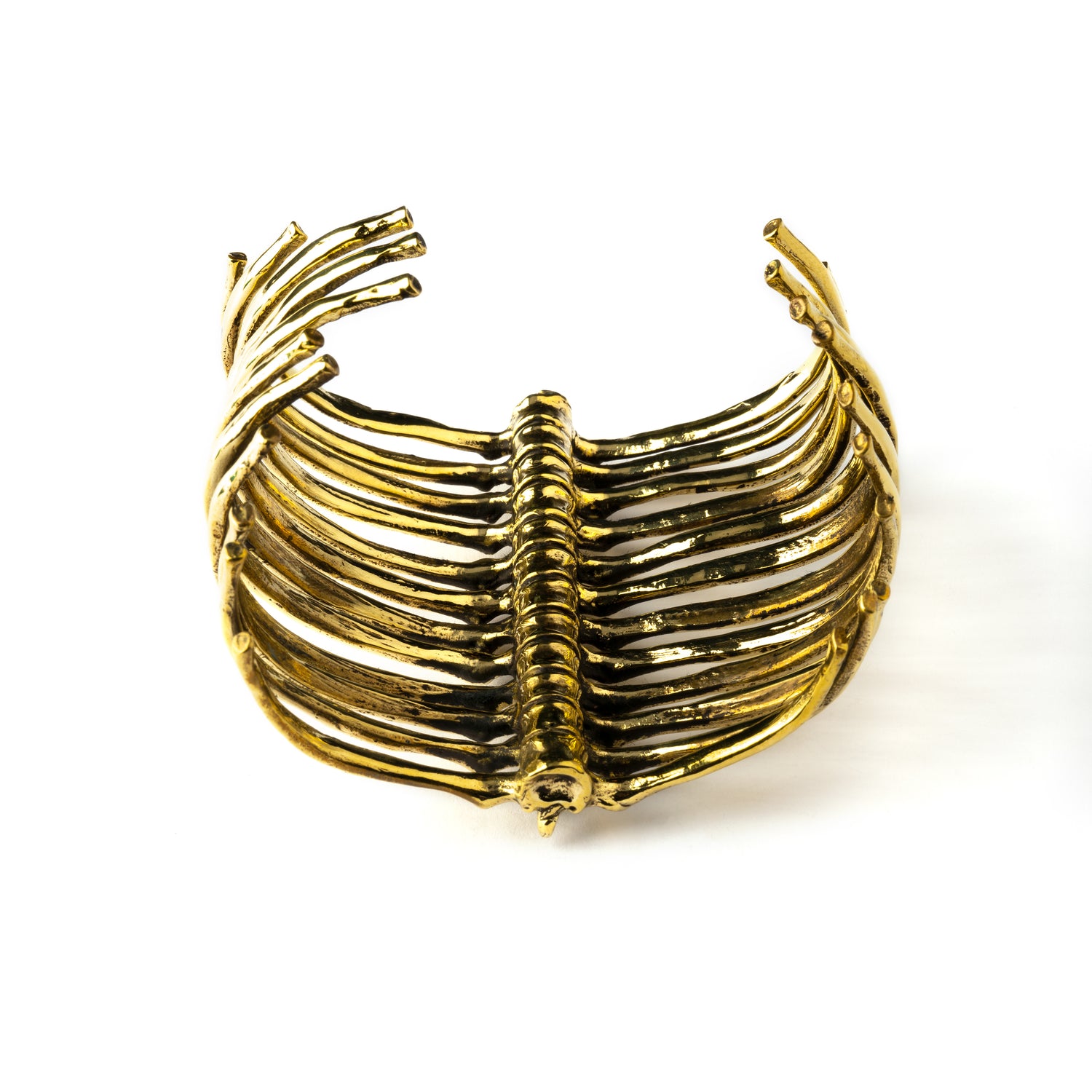 Golden-skeleton-vertebral-column-cuff_4