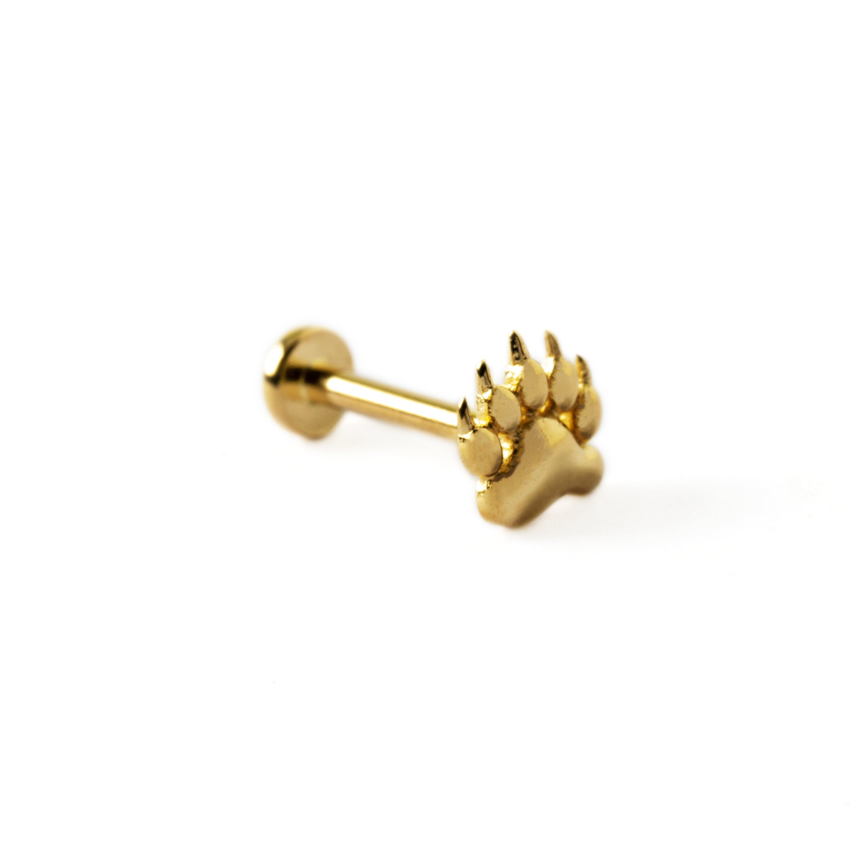 Bear Paw Labret Piercing | Flat Back Stud | Tribu