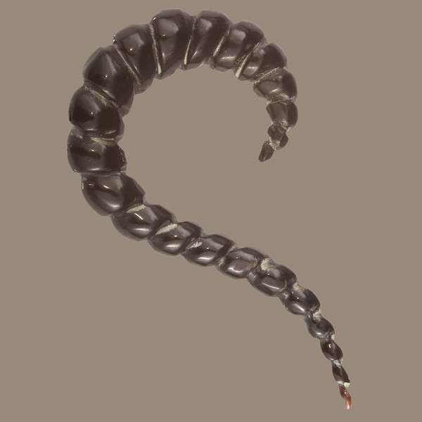 Curled Solid Tribal Horn Hook - Tribu