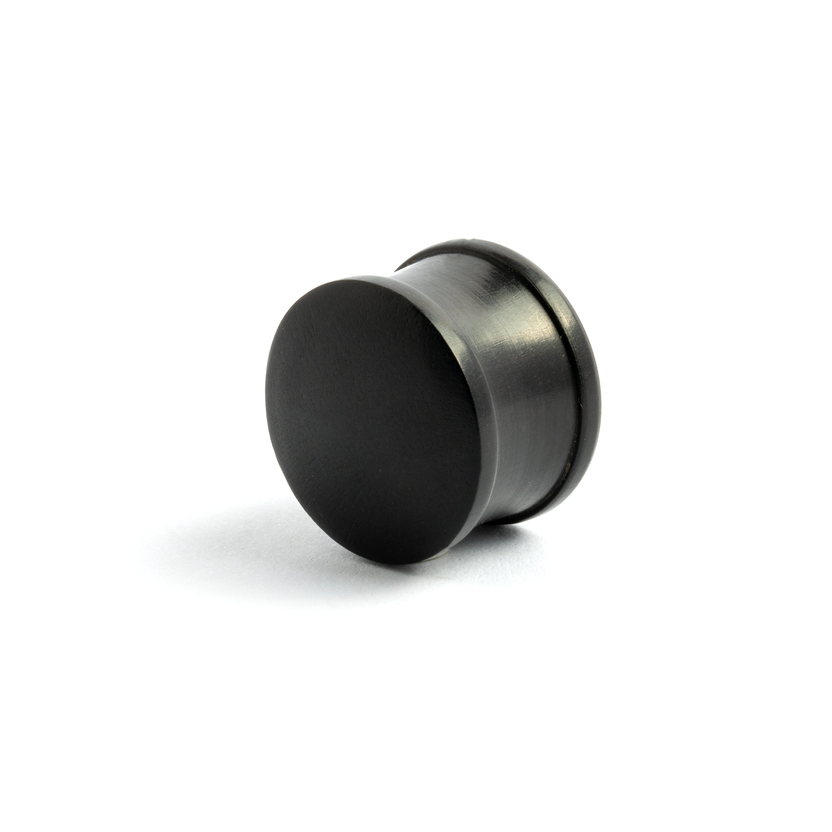 Horn And Zircon Plug