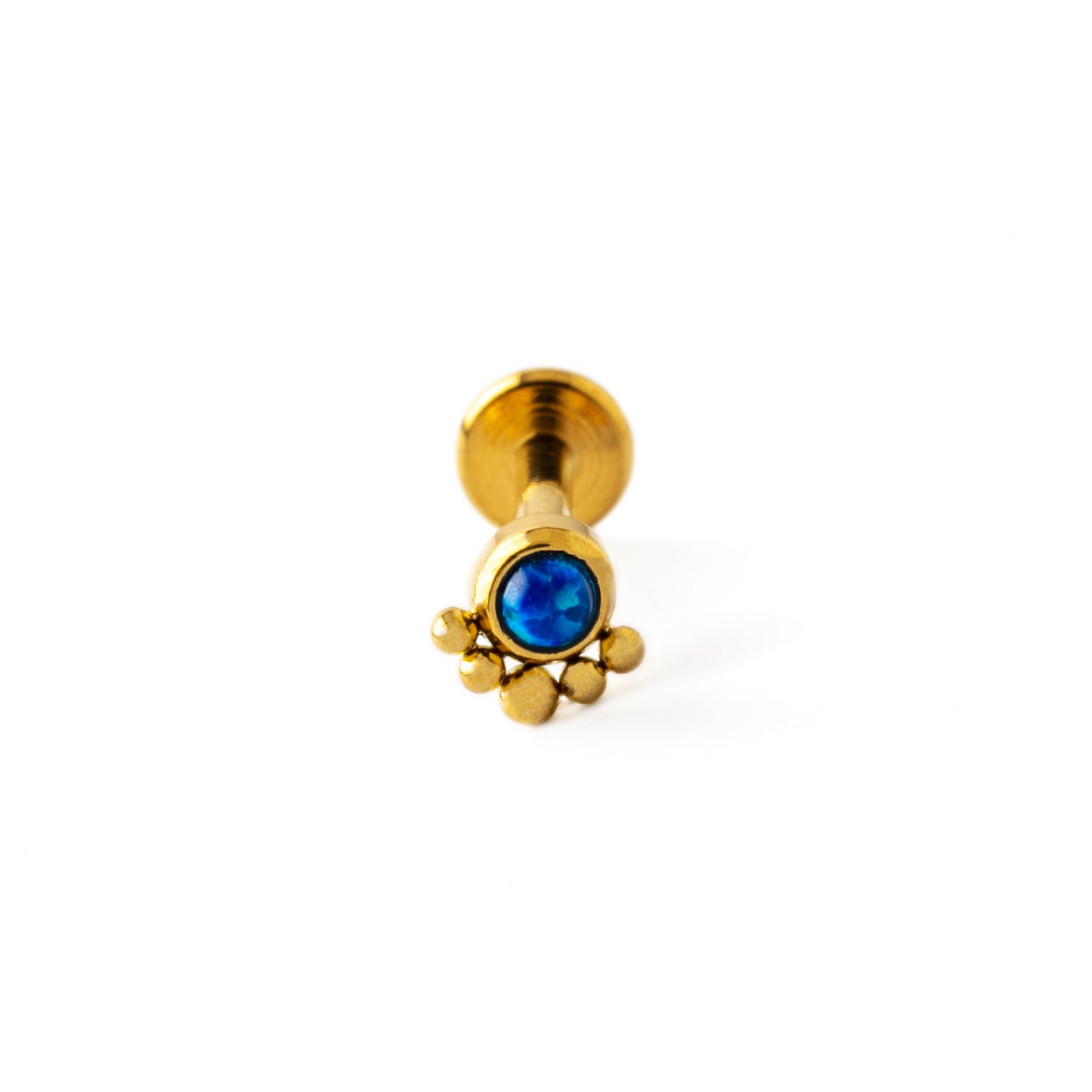 Layla golden labret with blue opal frontal view