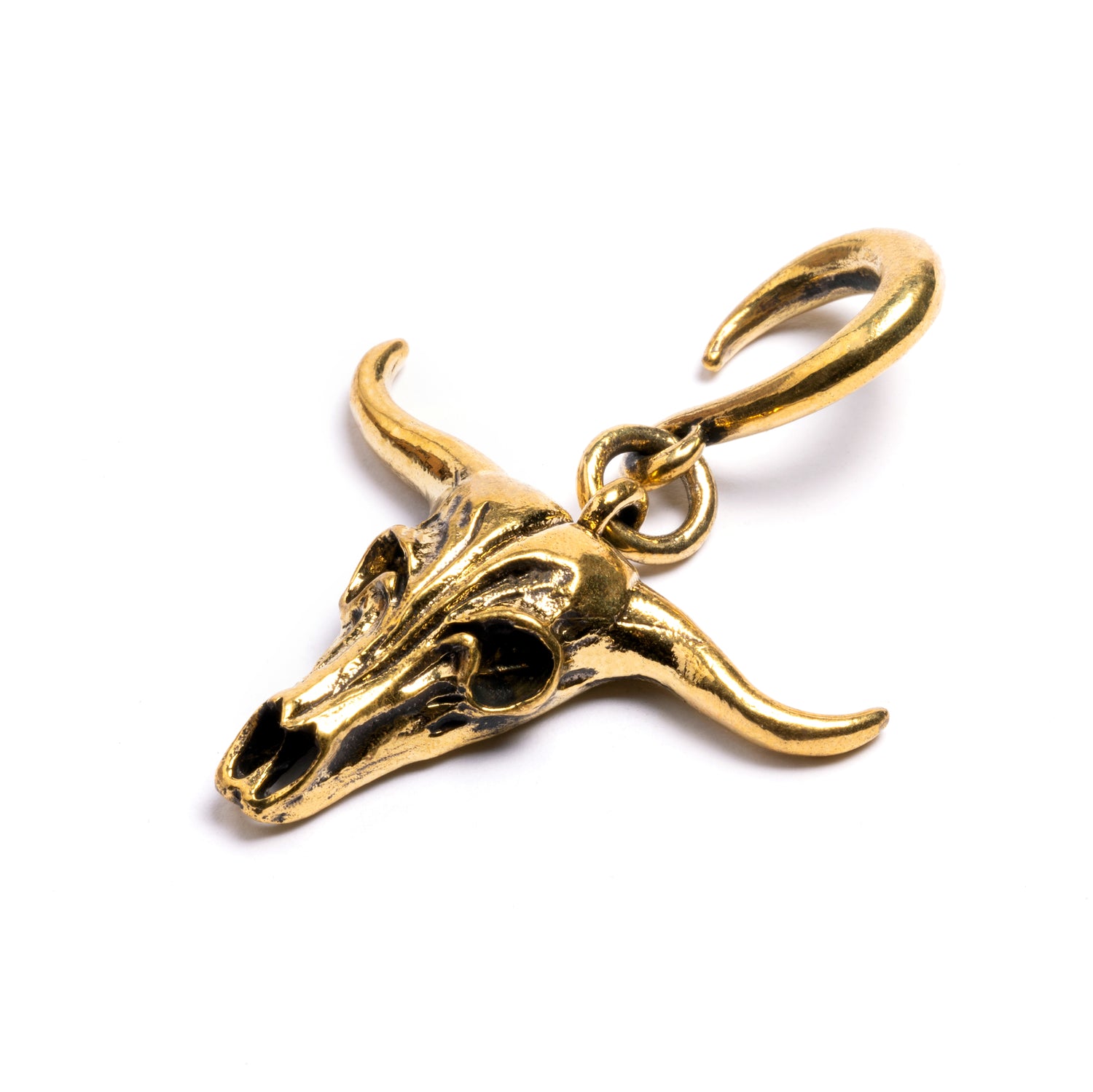 single gold brass longhorn skull ear weight hanger side close up view