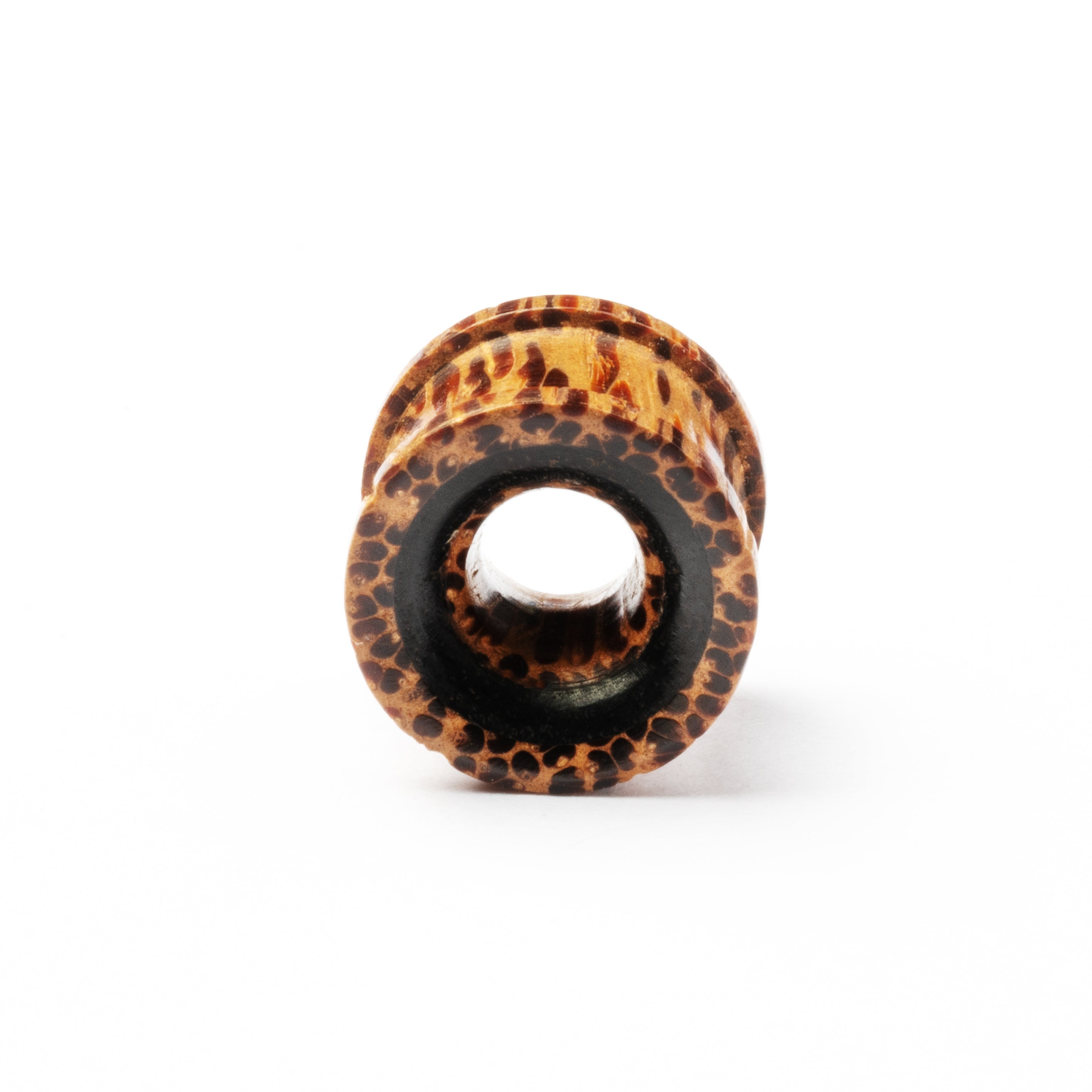 Palmwood and Blackwood Tunnel