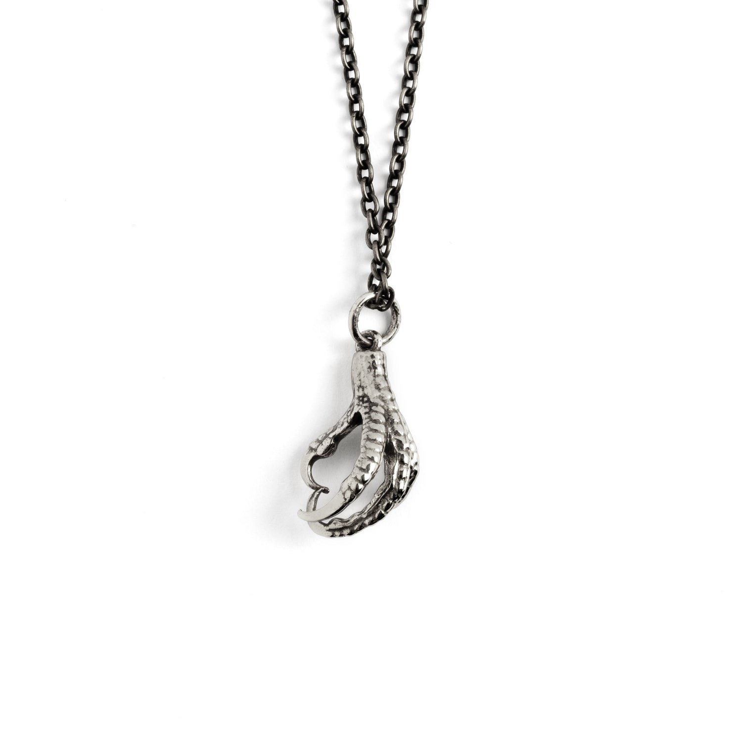 Silver Bird Claw charm Necklace frontal view