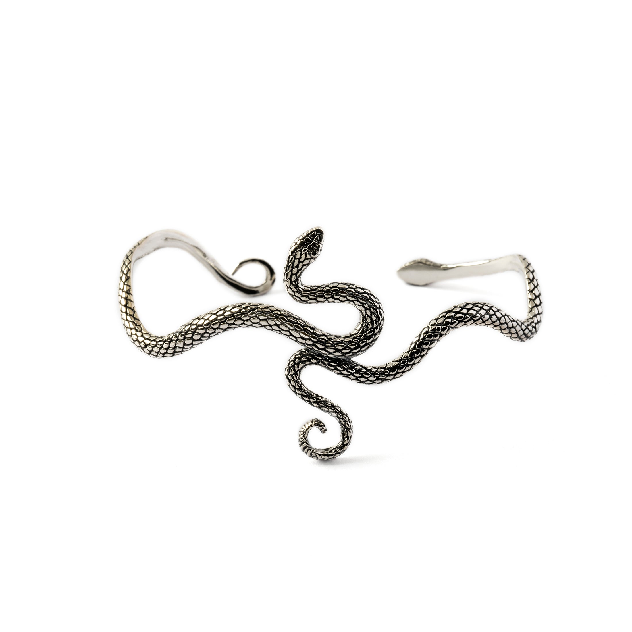 Silver Eden Snake Bangle frontal view