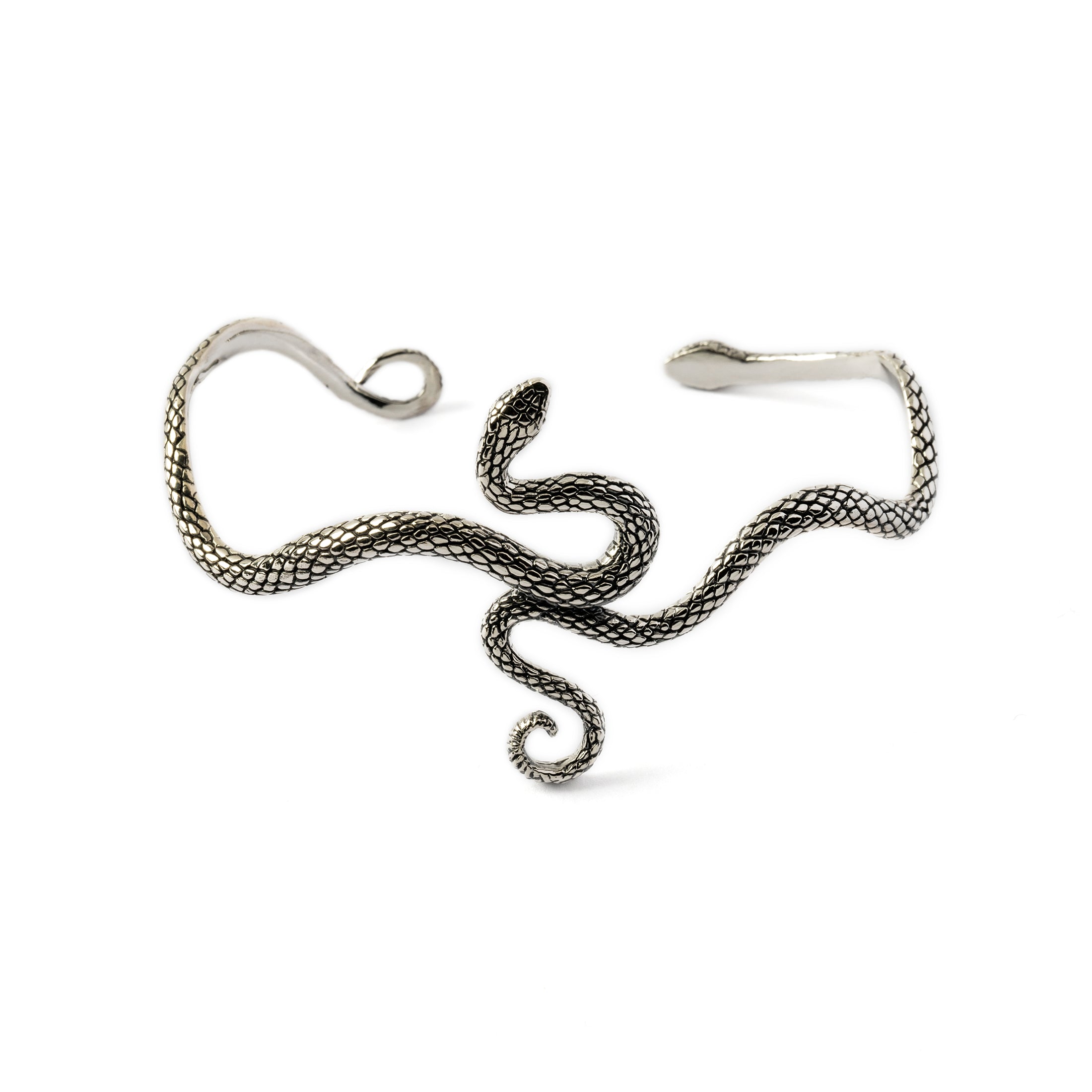 Silver Eden Snake Bangle frontal view