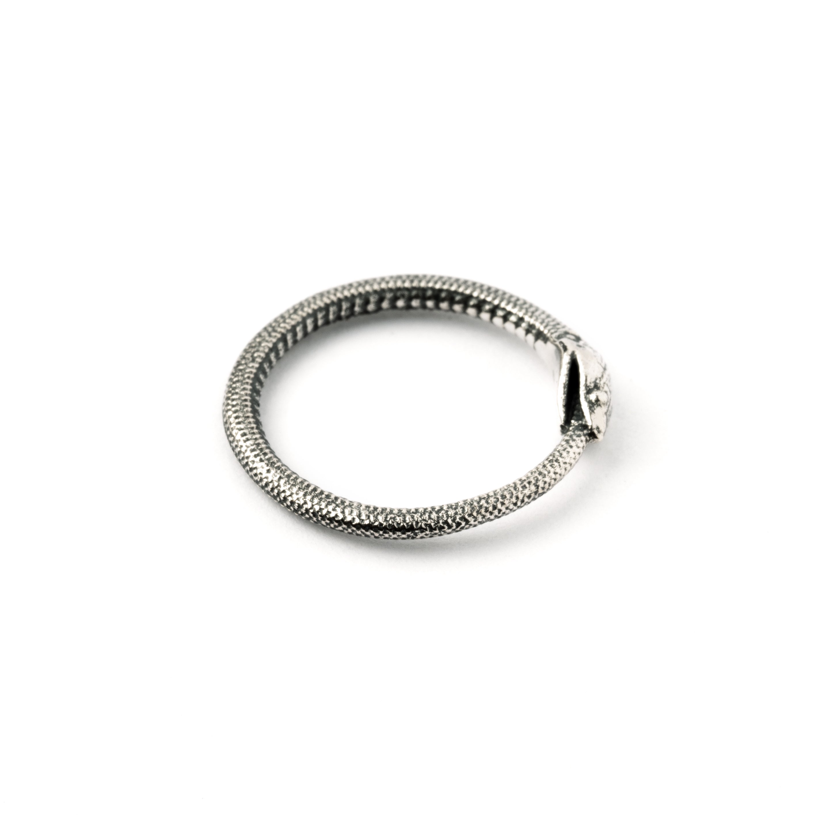 Silver Ouroboros snake band ring side view