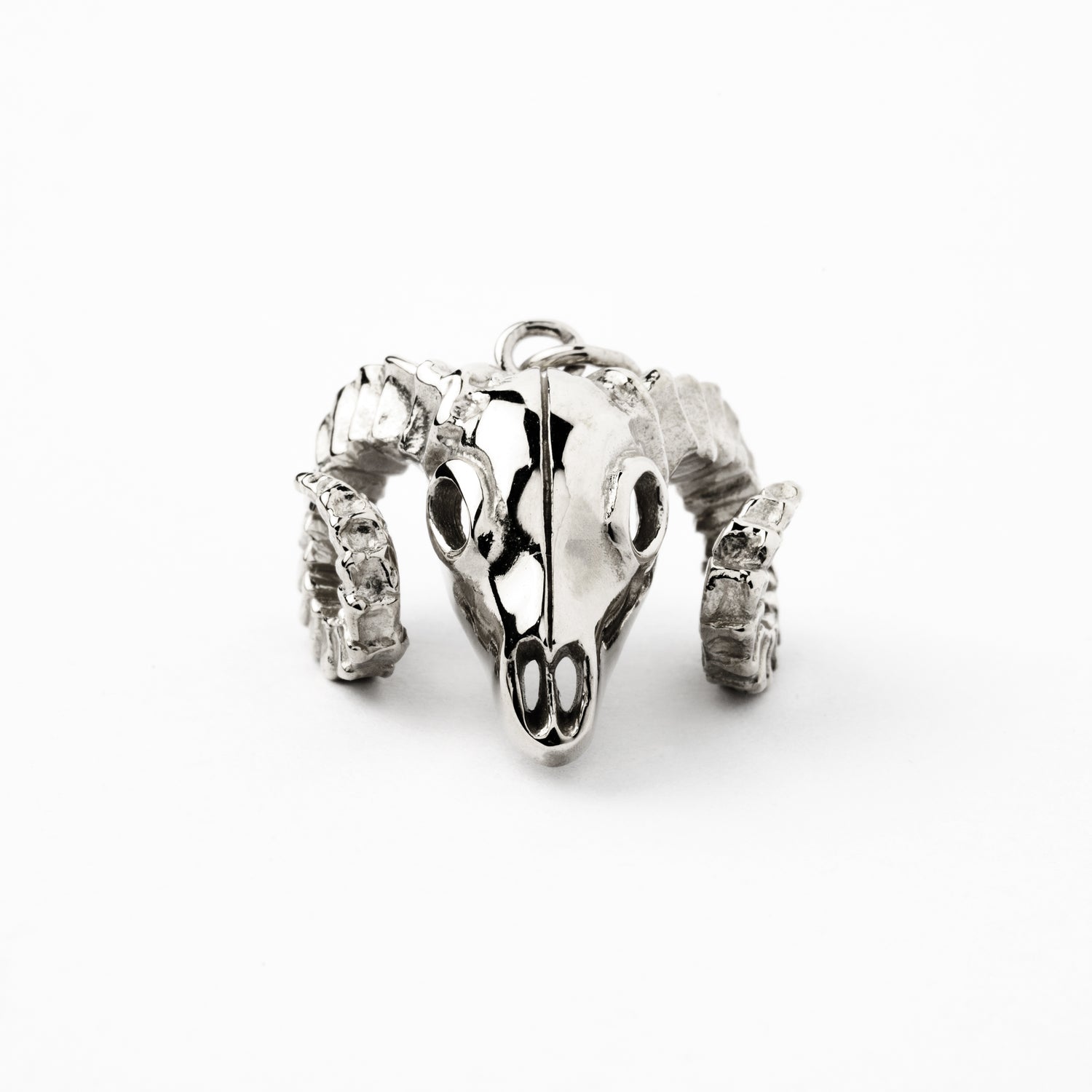 Bighorn silver charm necklace frontal  view