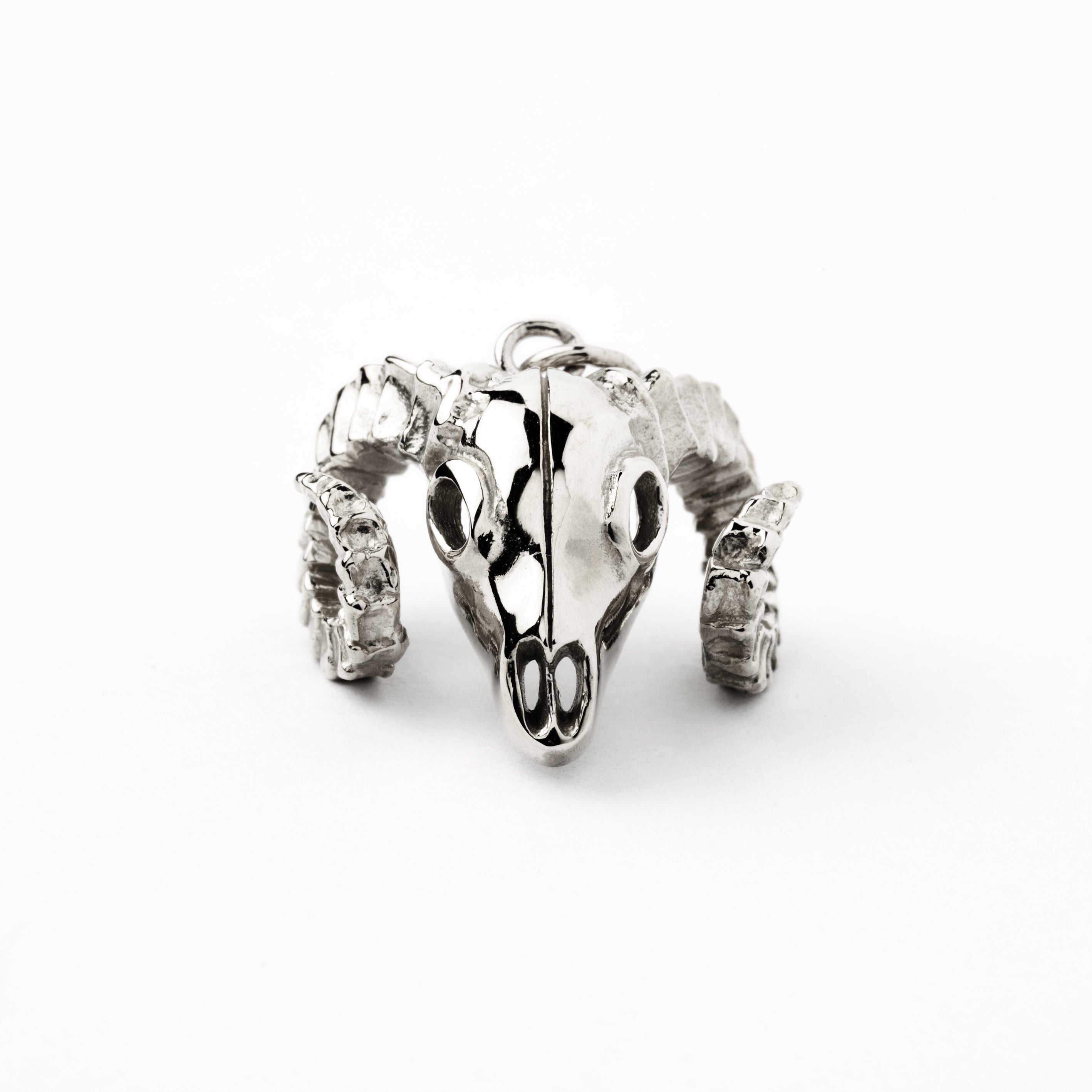 Bighorn silver charm necklace frontal view