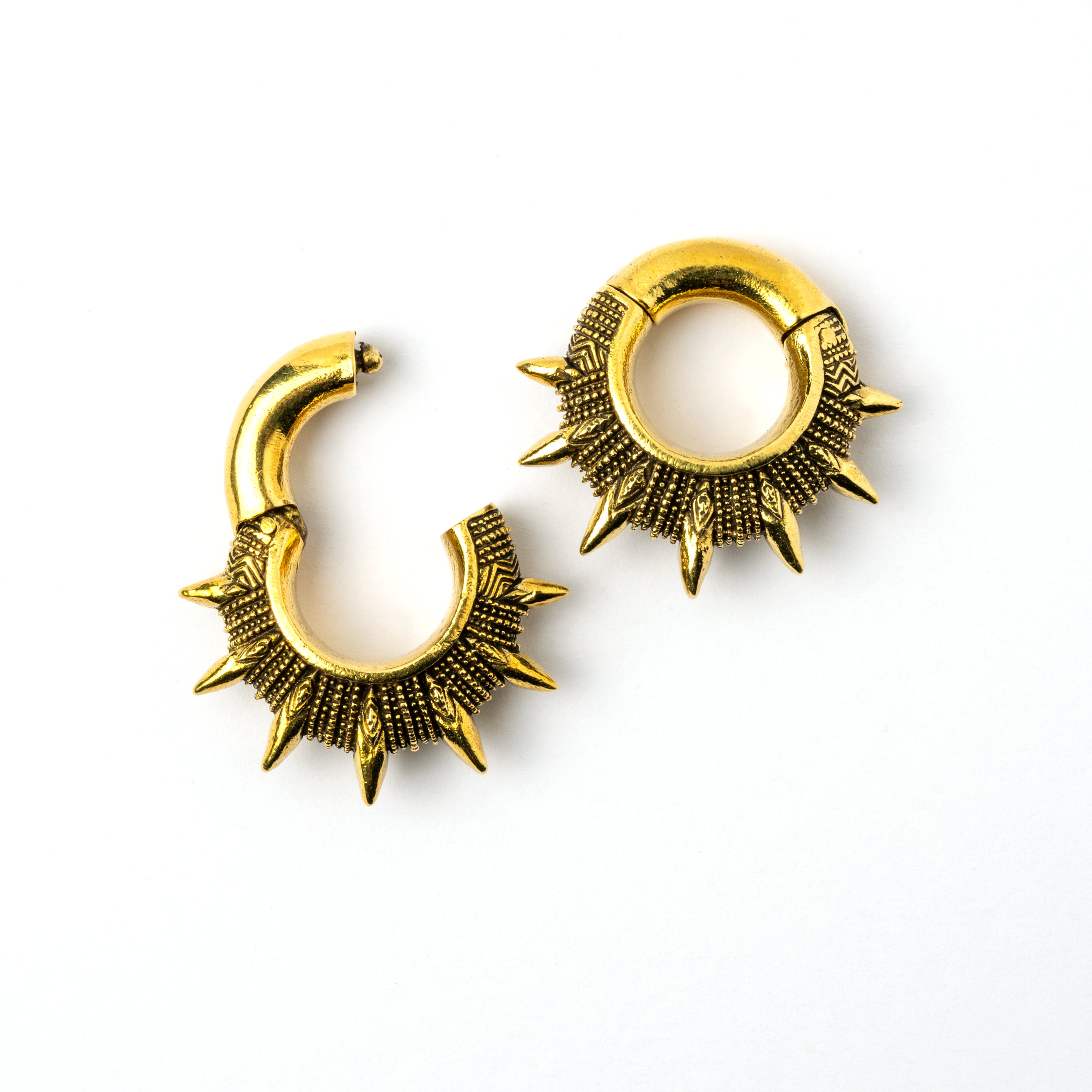 pair of golden spiky ear weights hoops