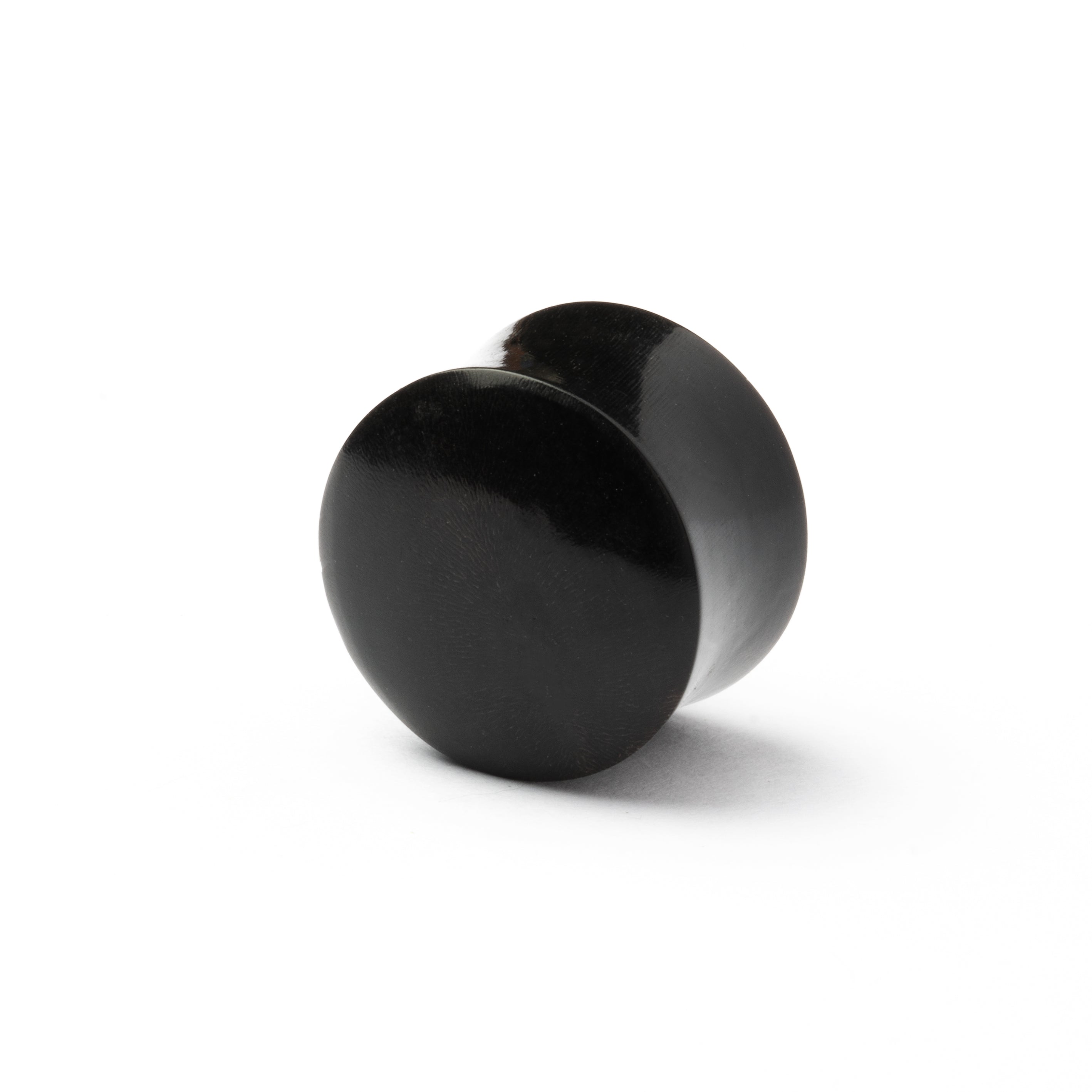 Spiral Horn And Silver Plug