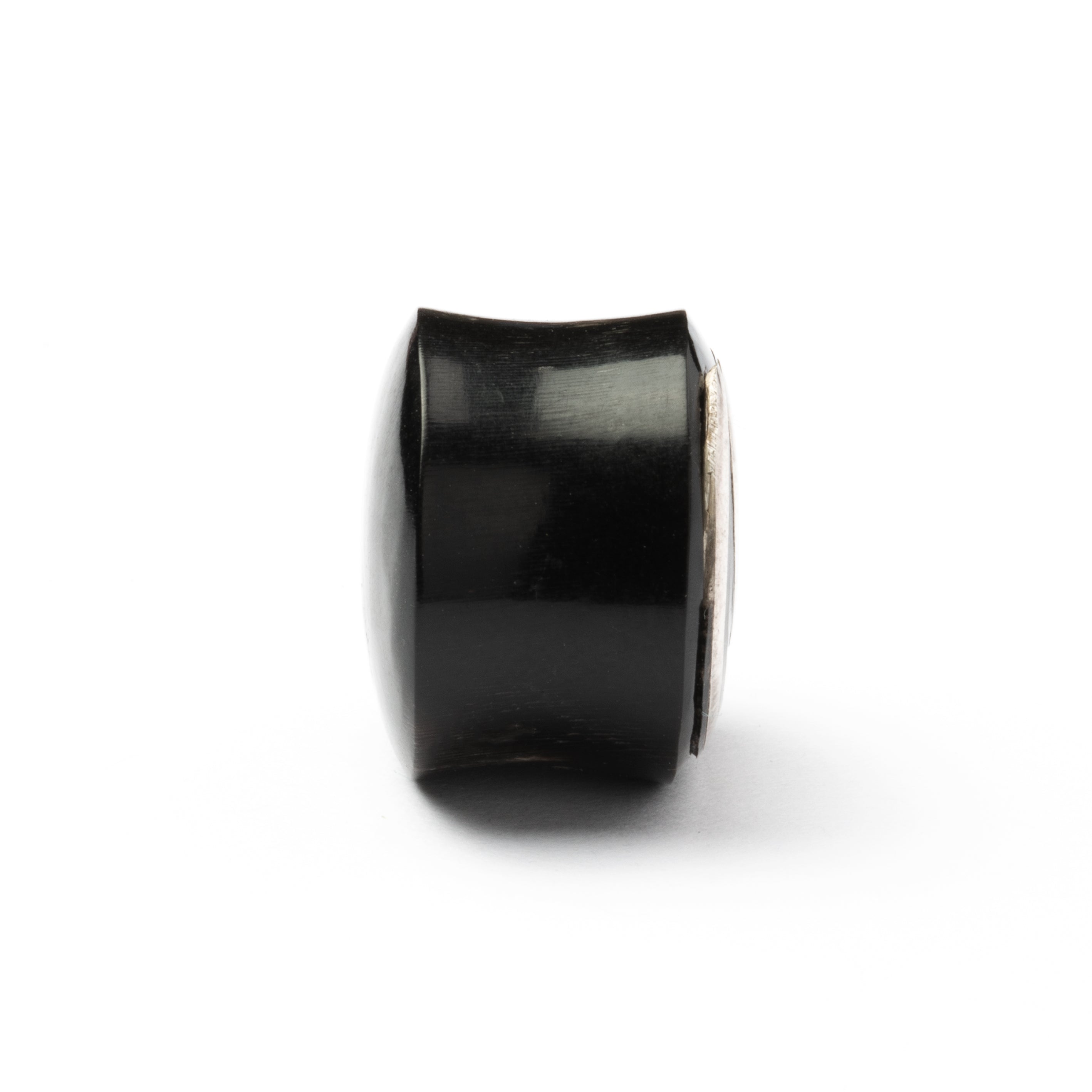 Spiral Horn And Silver Plug