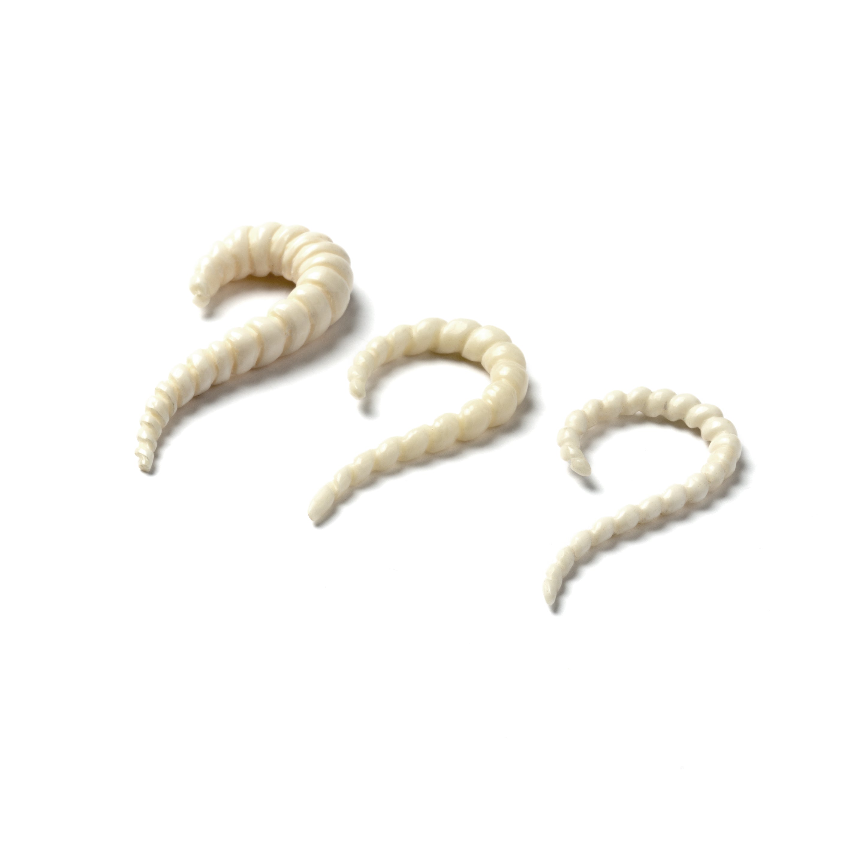 Twisted Hook Ear Stretches - bone