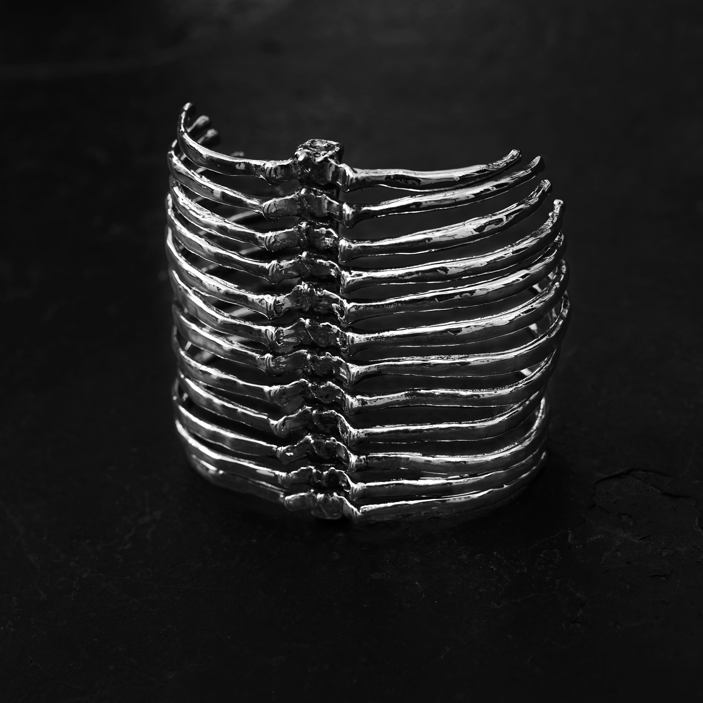 Vertebral-Column-Arm-Piece100_3